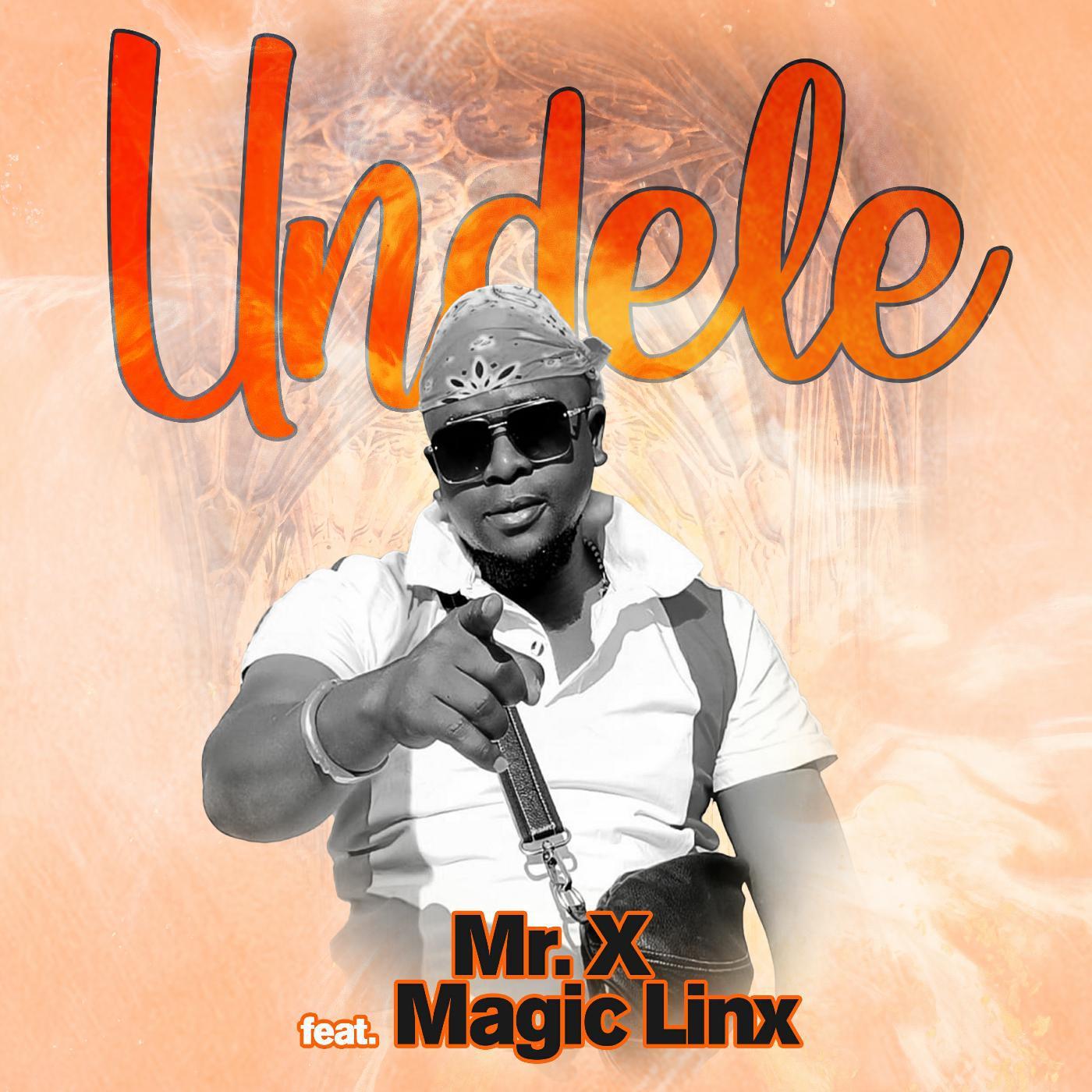 Постер альбома Undele (feat. Magic Linx)