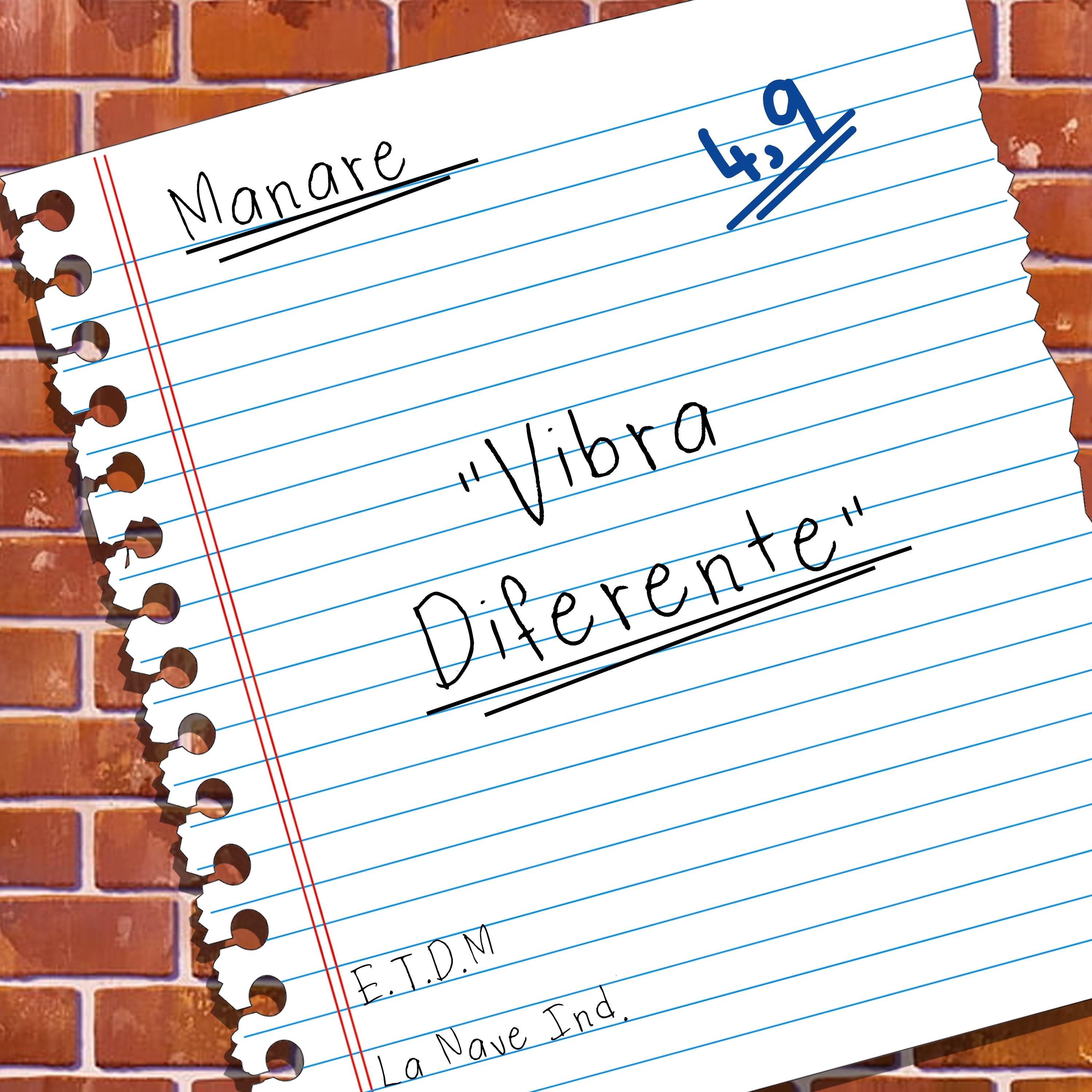 Постер альбома Vibra Diferente