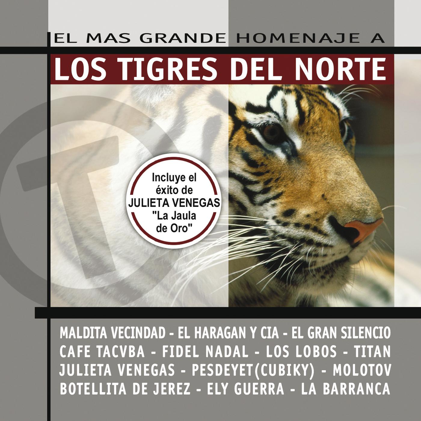 Постер альбома El Mas Grande Homenaje A Los Tigres Del Norte