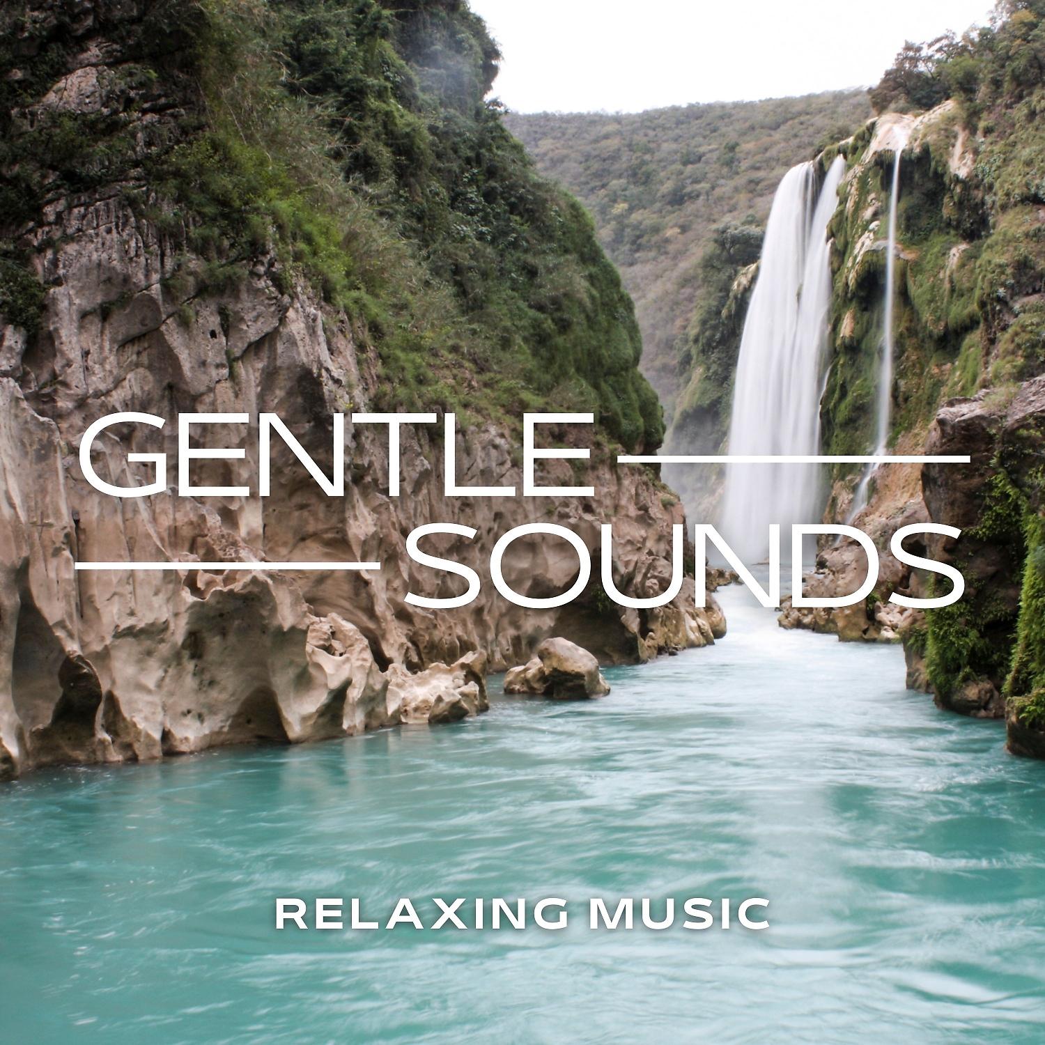 Постер альбома Gentle Sounds