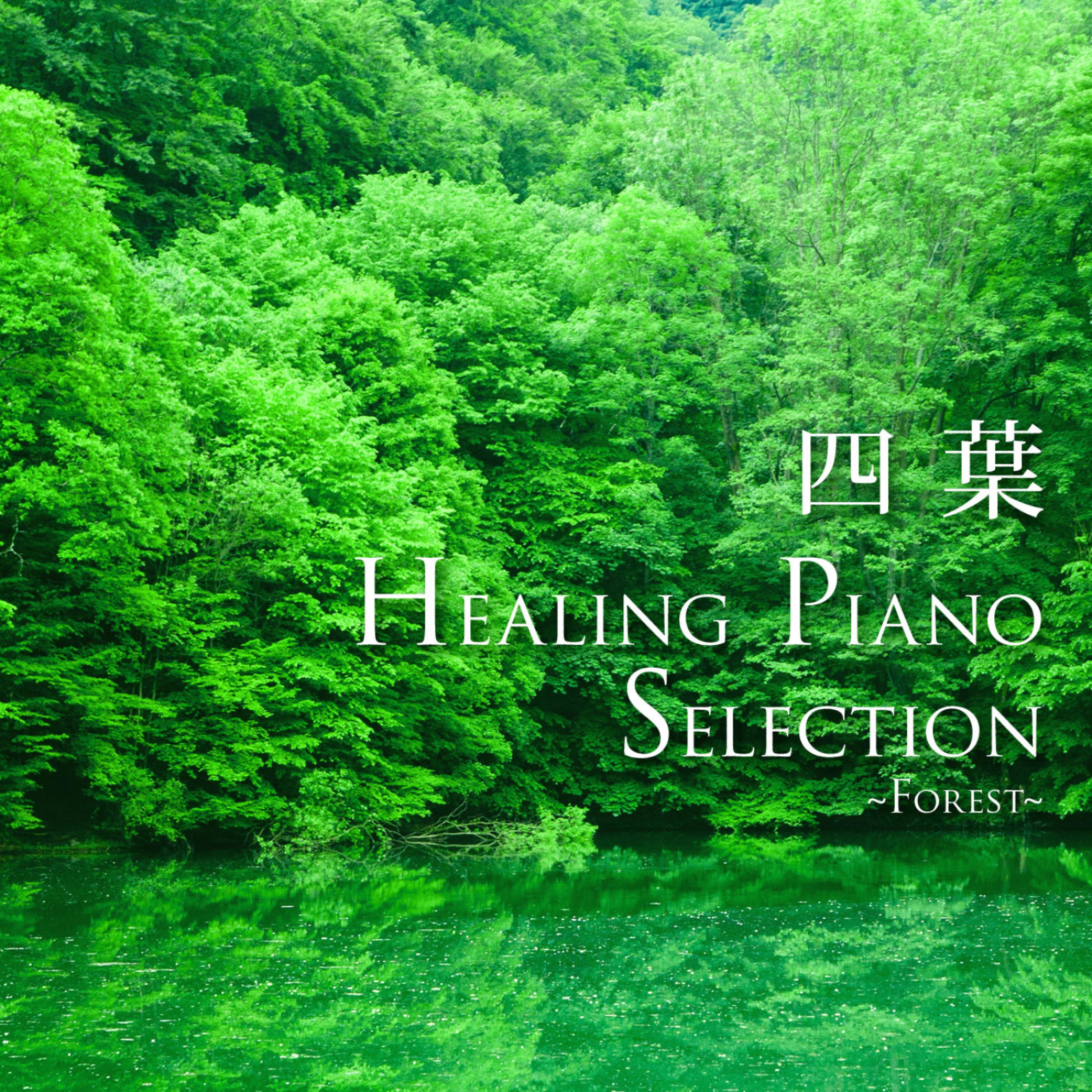 Постер альбома Shiba Healing Piano Selection -Forest-