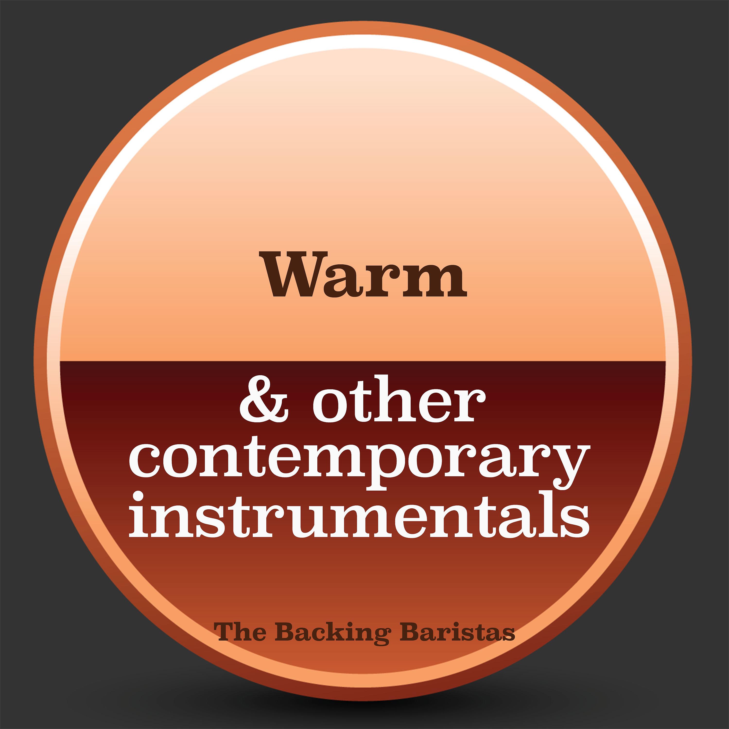 Постер альбома Warm & Other Contemporary Instrumental Versions