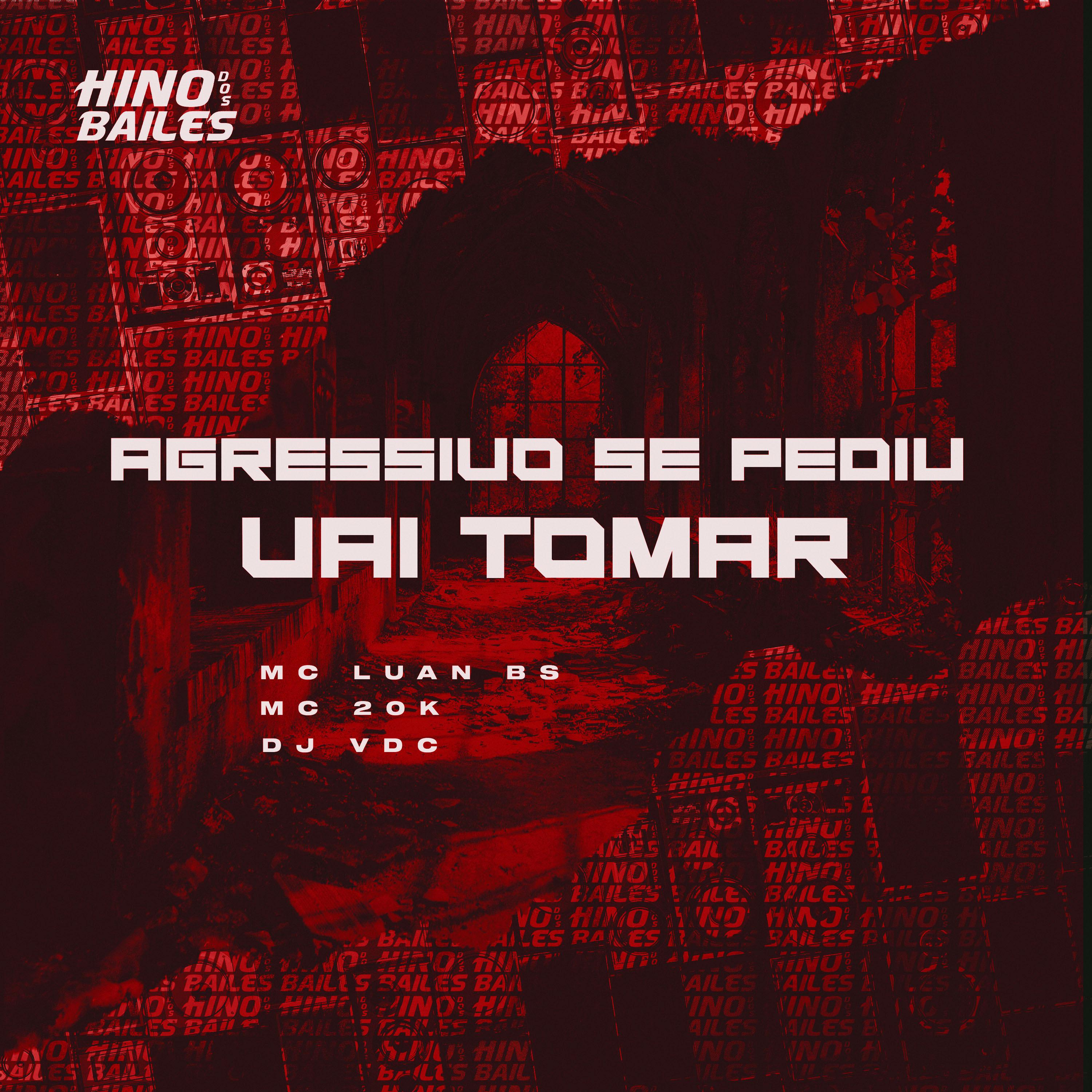 Постер альбома Agressivo Se Pediu Vai Tomar
