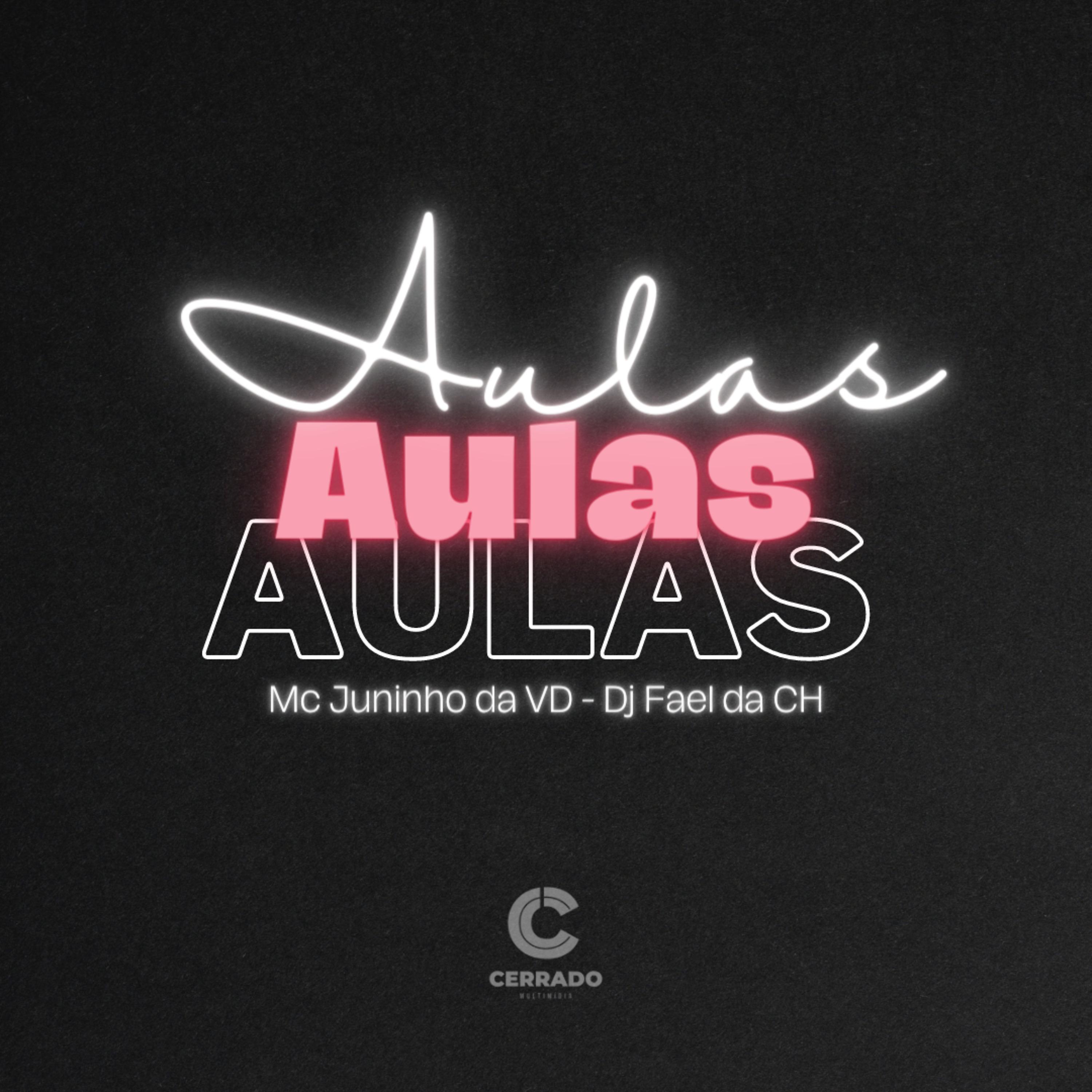 Постер альбома Aulas