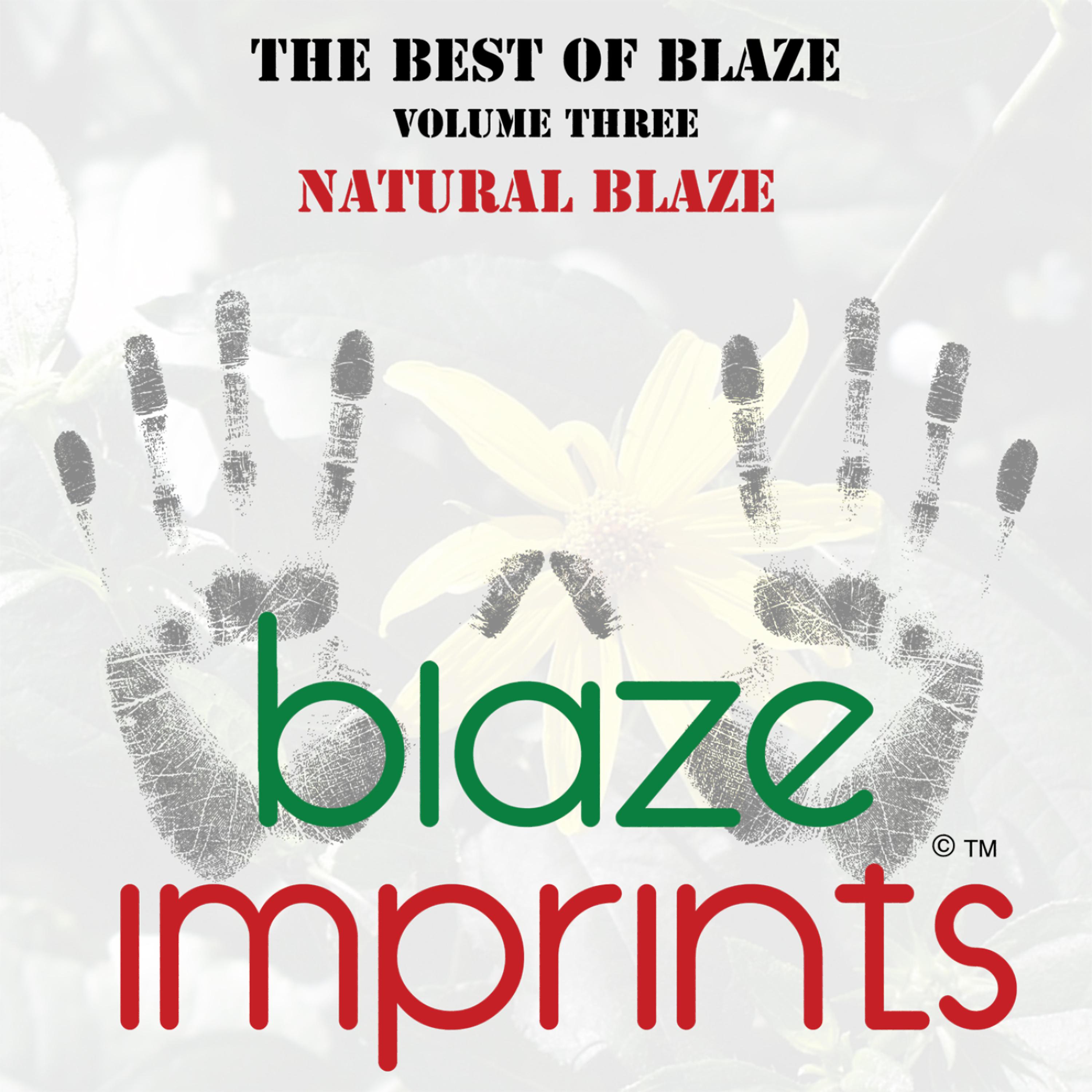 Постер альбома The Best of Blaze, Vol. 3 - Natural Blaze