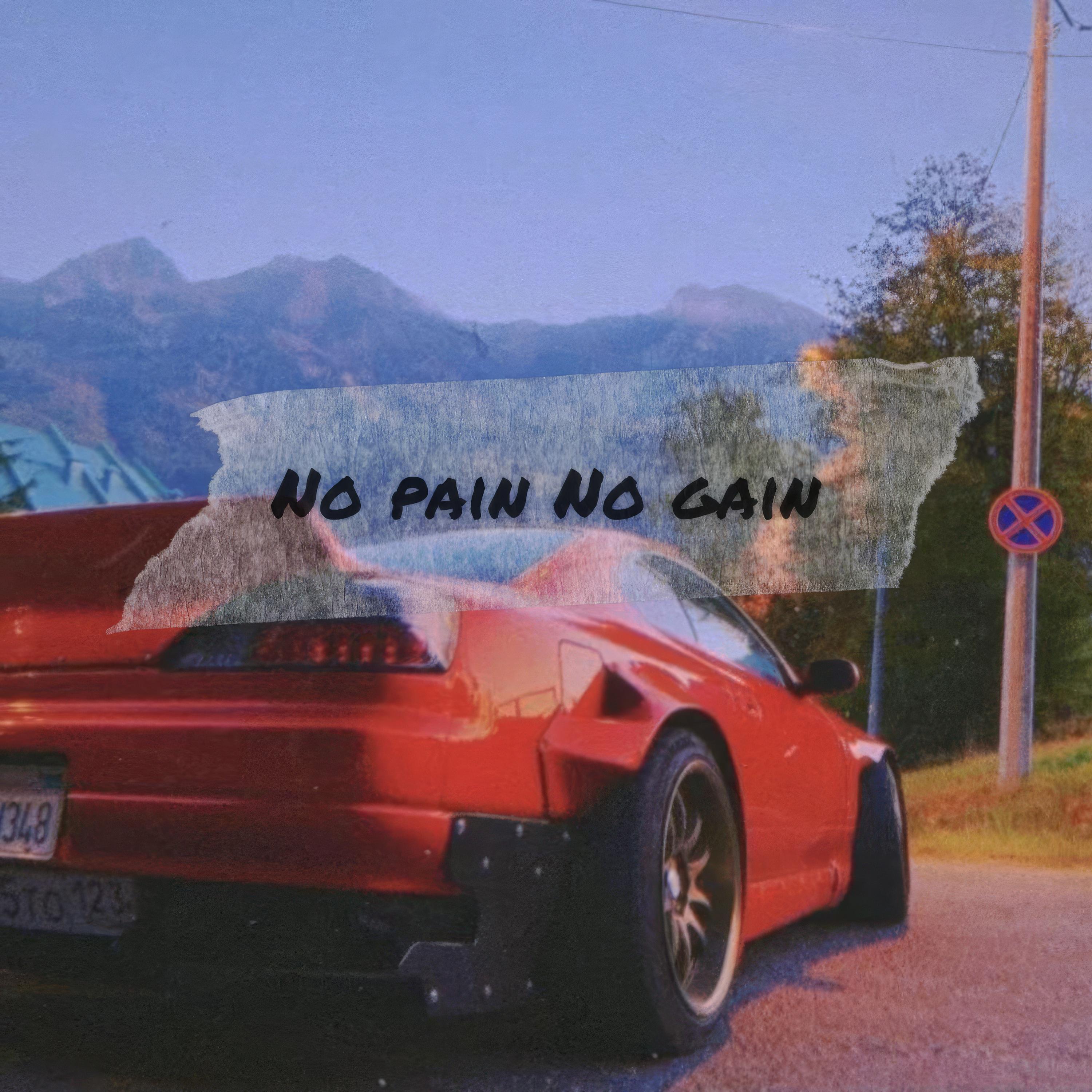 Постер альбома No pain No gain