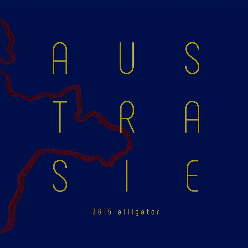 Постер альбома Austrasie