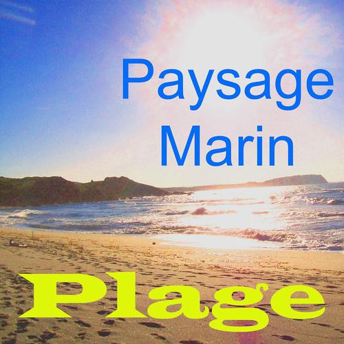 Постер альбома Paysage marin