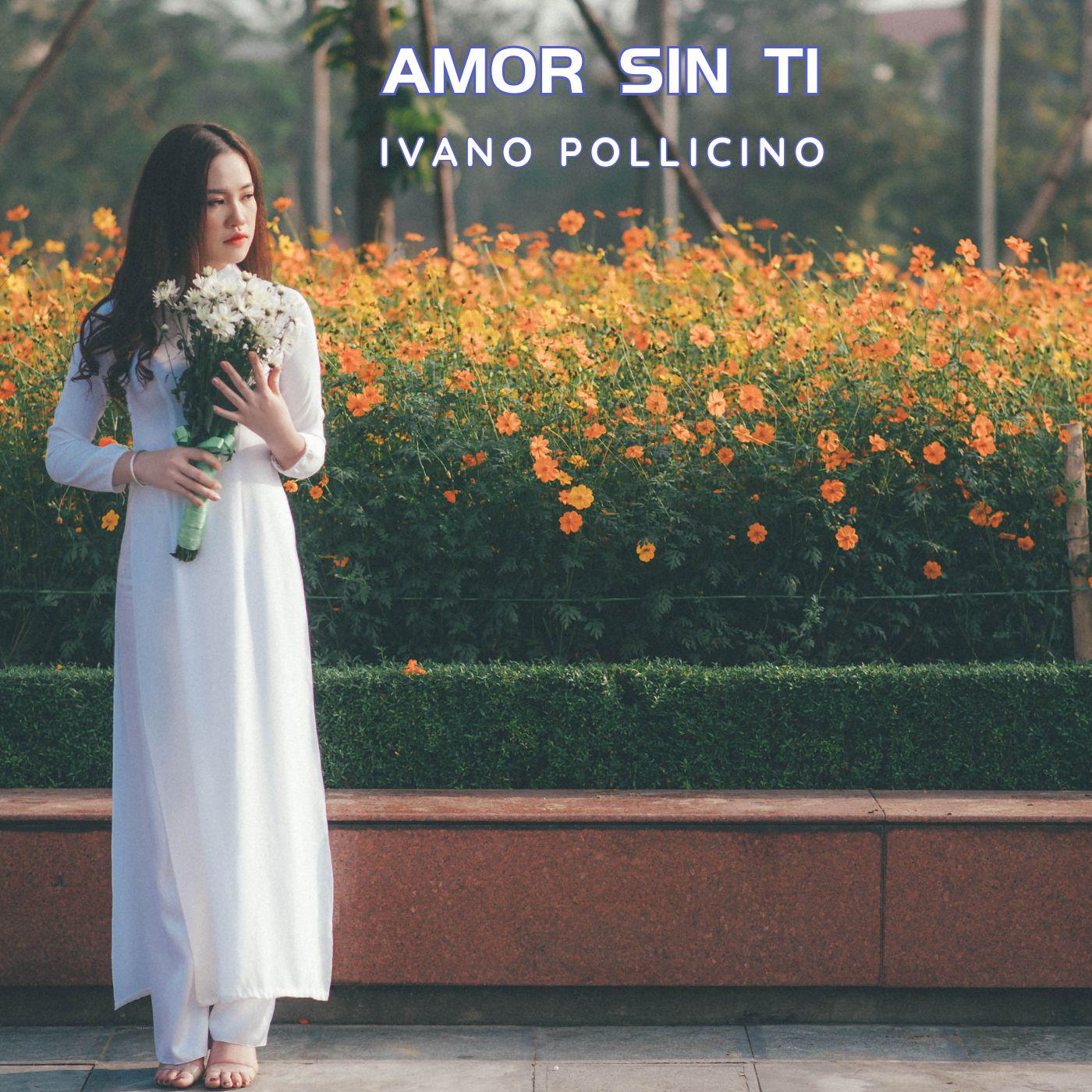 Постер альбома Amor Sin Ti