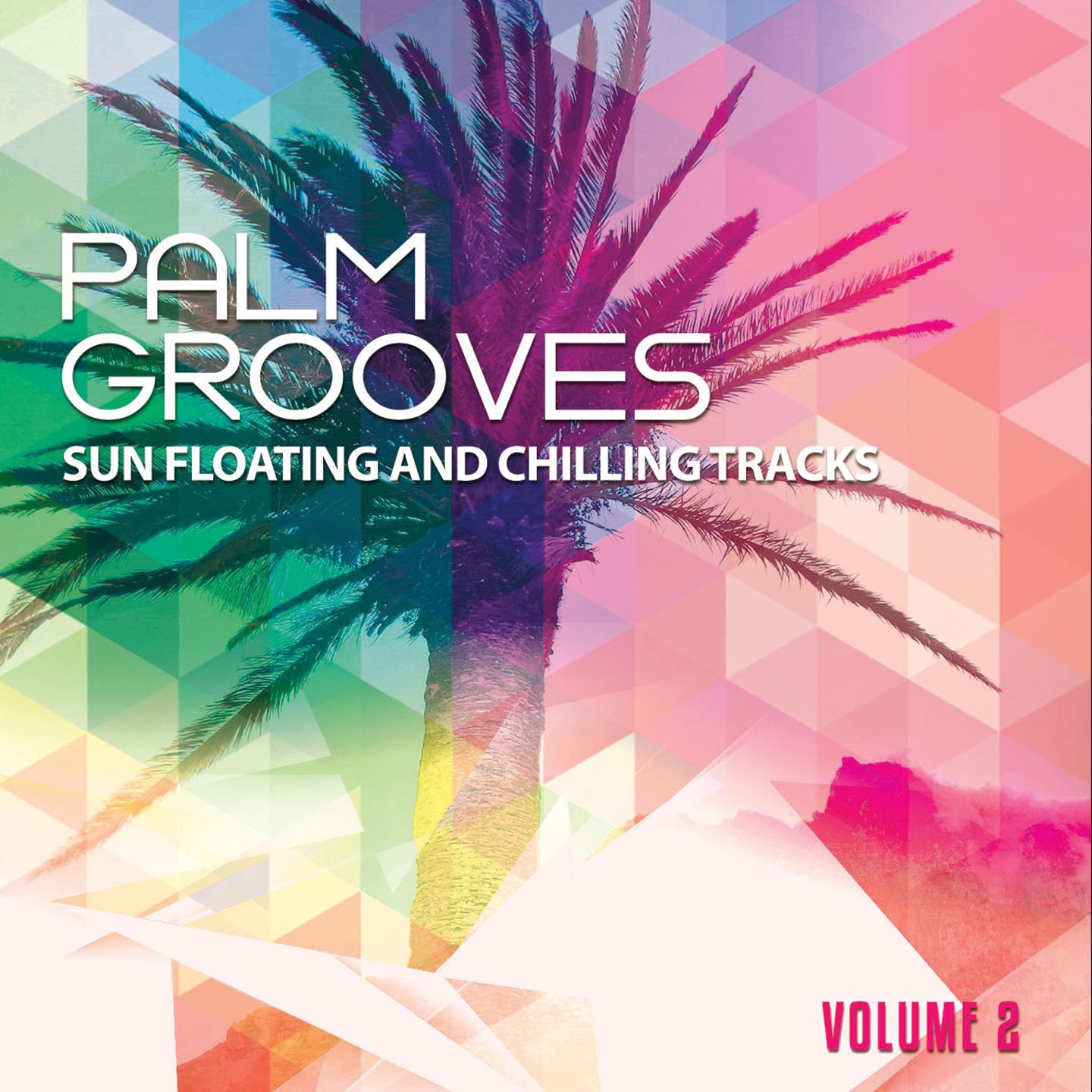 Постер альбома Palm Grooves, Vol. 2