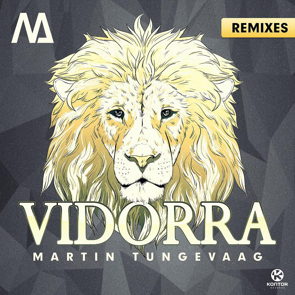 Постер альбома Vidorra (Remixes)