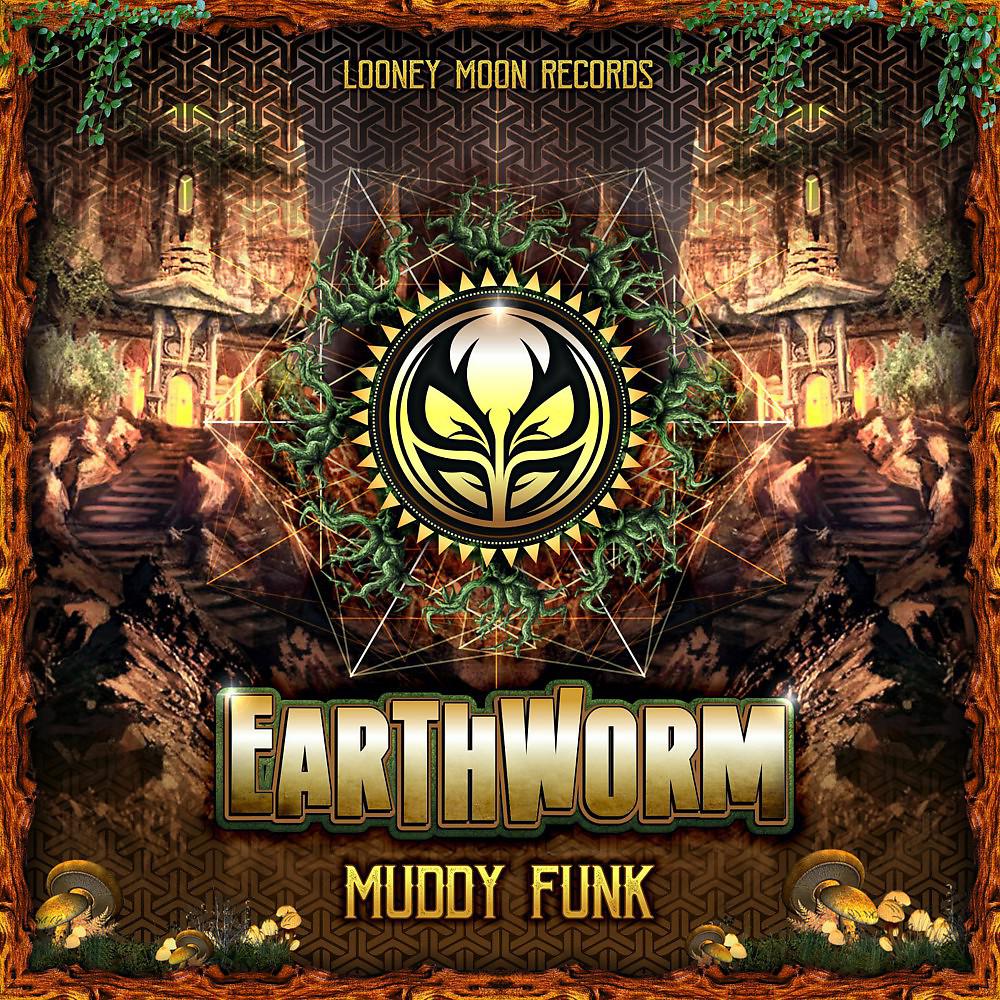 Постер альбома Muddy Funk
