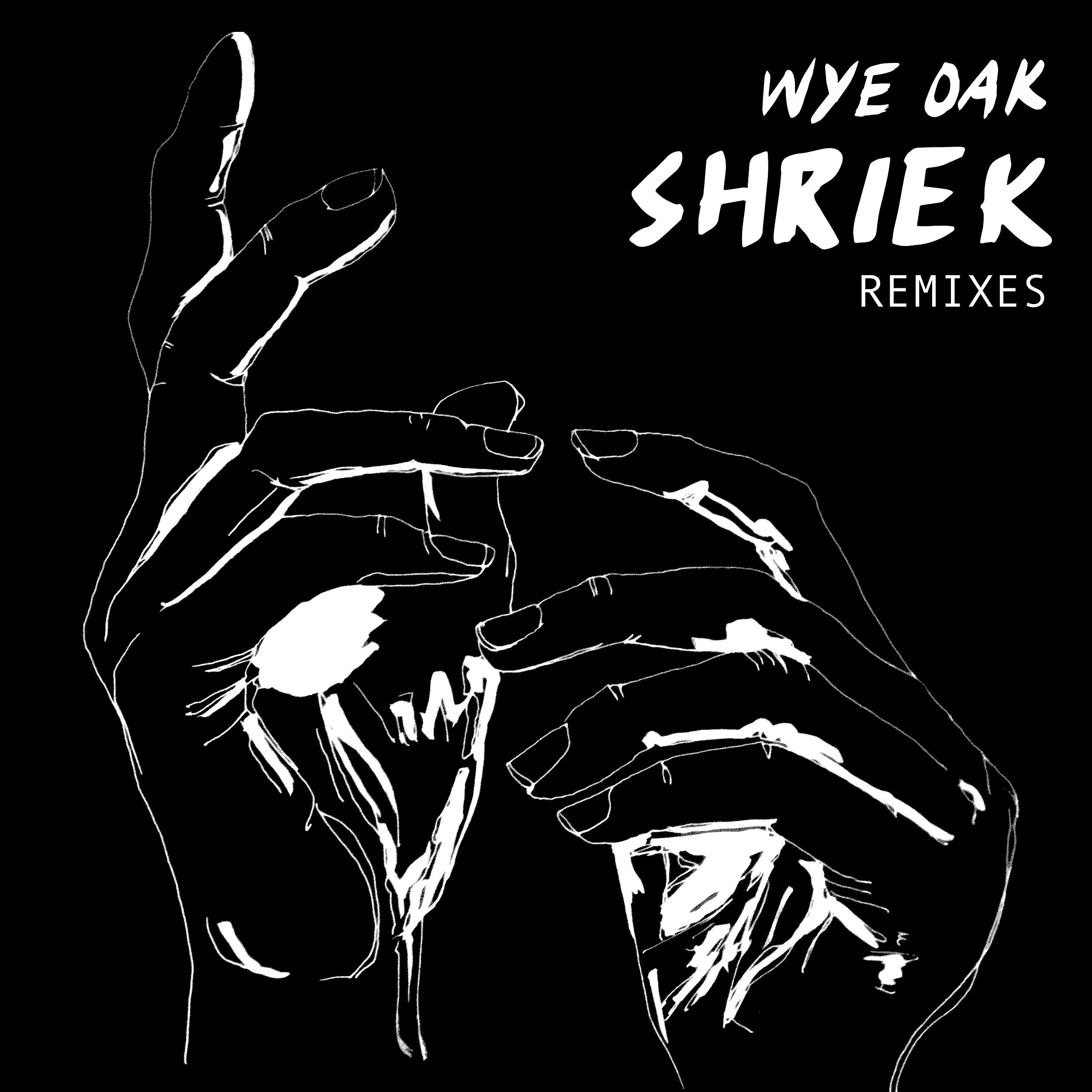 Постер альбома Shriek Remixes