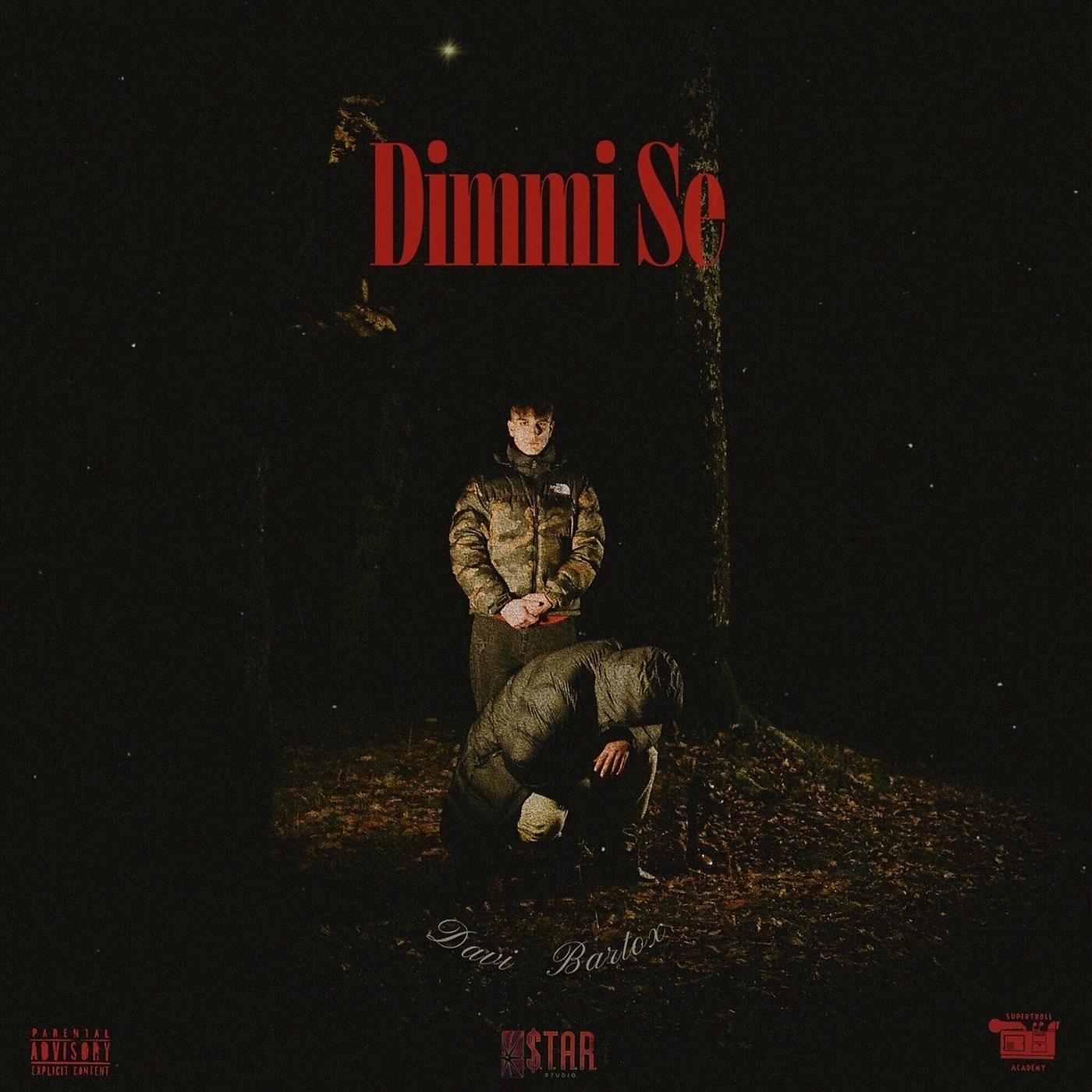Постер альбома Dimmi Se