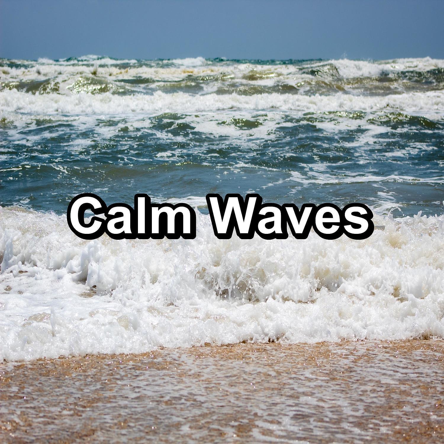 Постер альбома Calm Waves