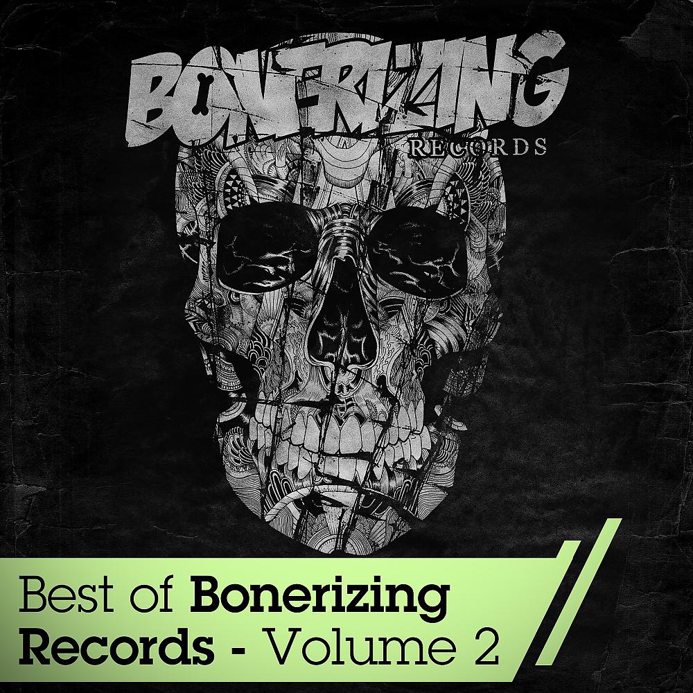 Постер альбома Best Of Bonerizing Records - Vol 2