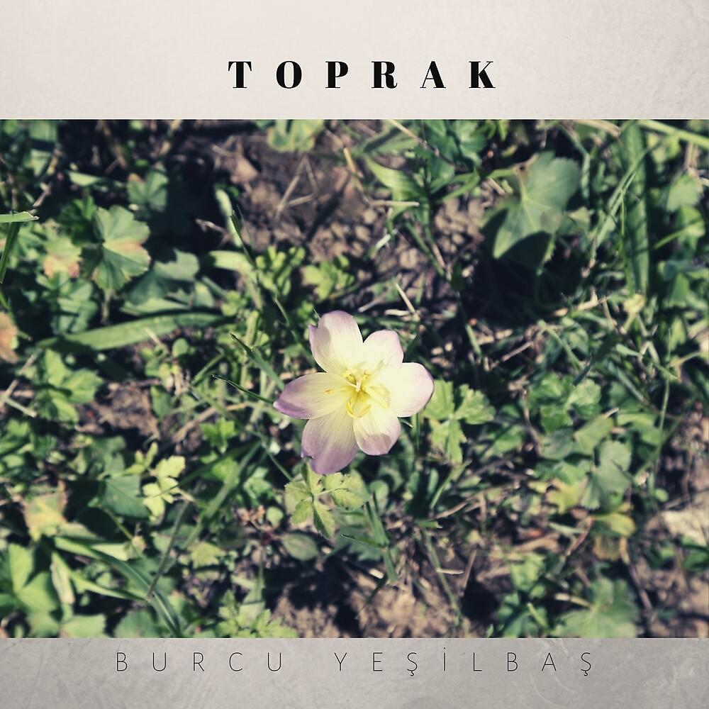 Постер альбома Toprak