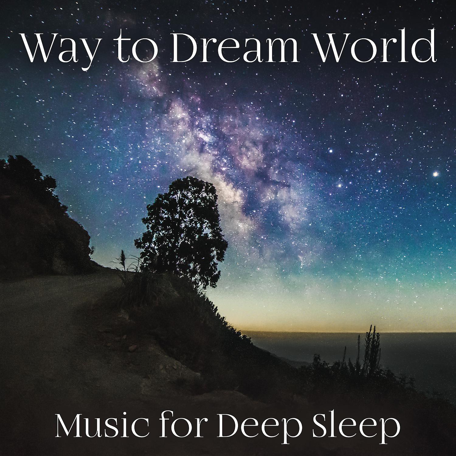 Постер альбома Way to Dream World: Music for Deep Sleep – Trouble Sleeping, Natural Sleep Aid, Relaxation Sounds for Reduce Stress, Ocean, Wind, Piano Melody