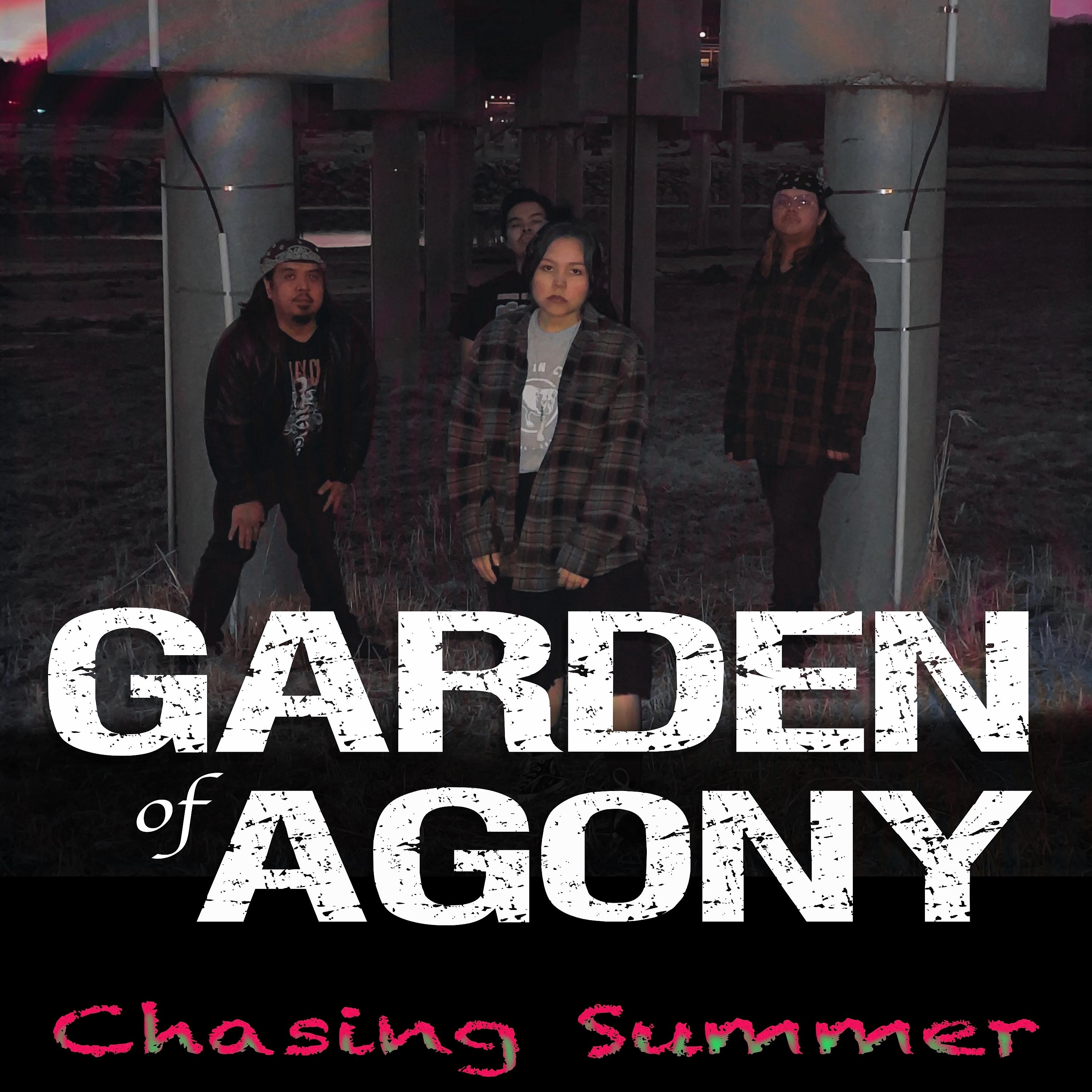 Постер альбома Chasing Summer