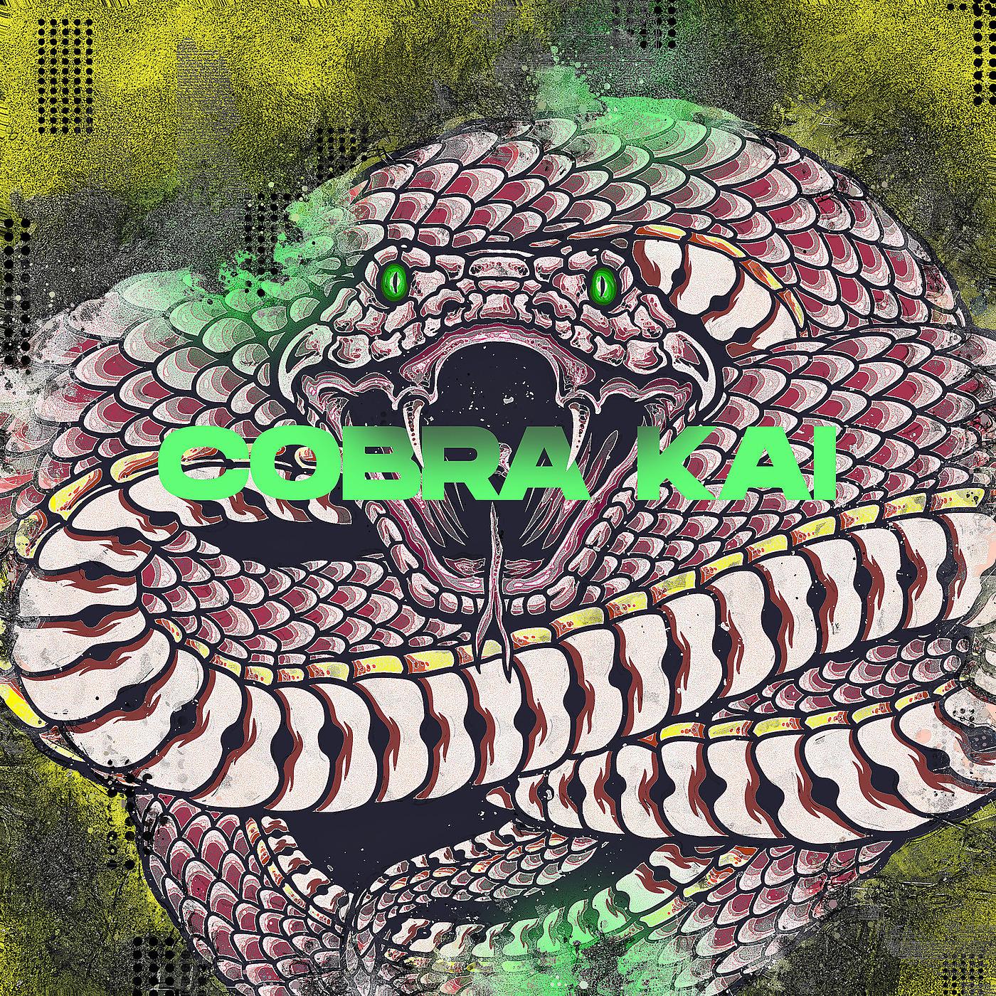 Постер альбома Cobra Kai