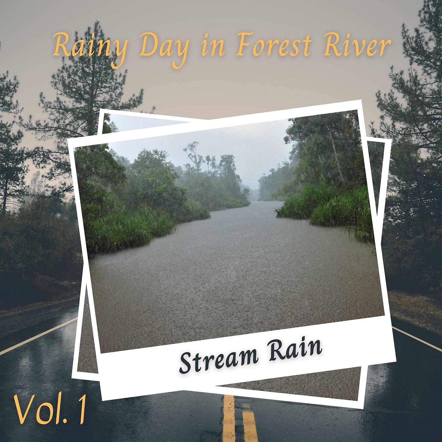 Постер альбома Stream Rain: Rainy Day in Forest River Vol. 1