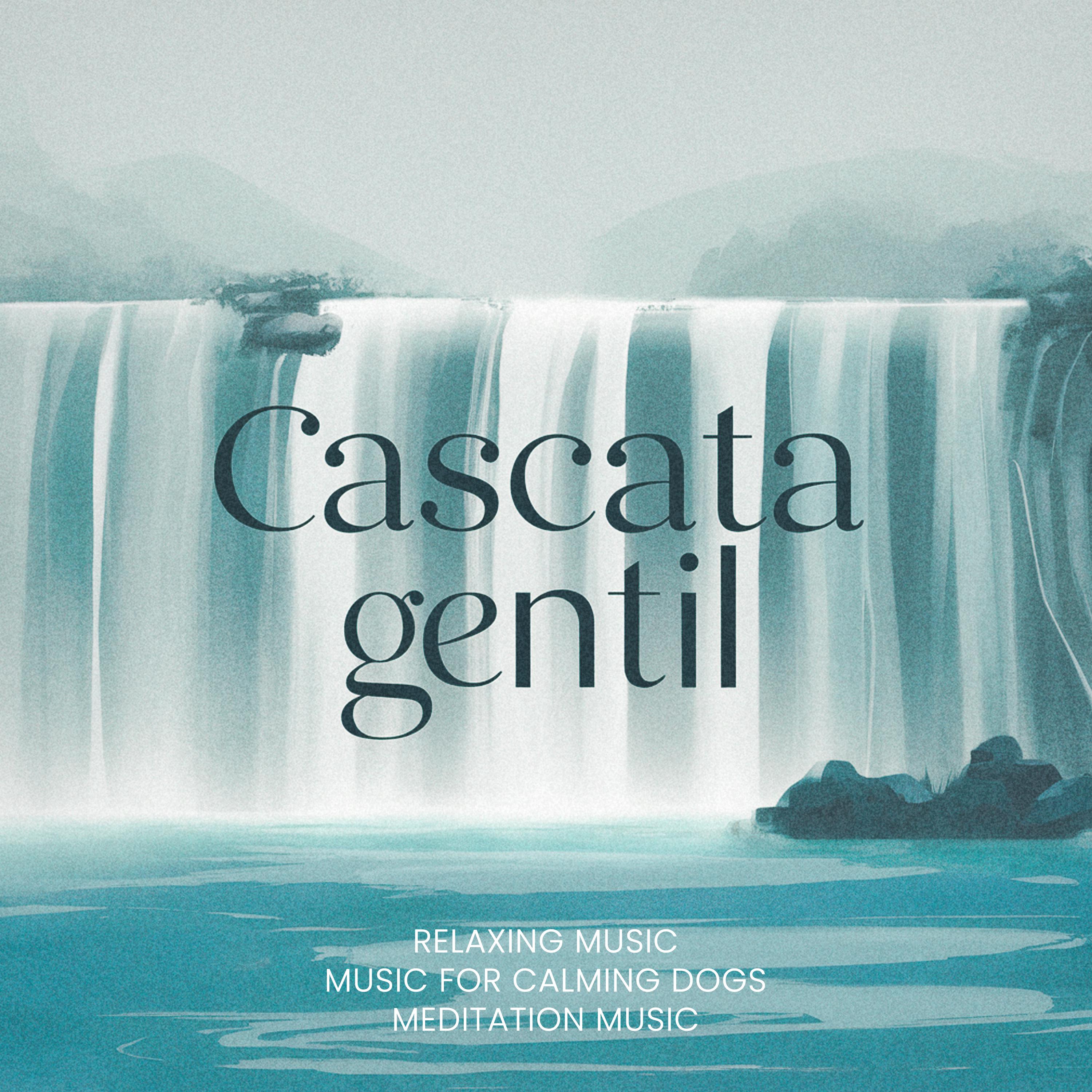 Постер альбома Cascata Gentil