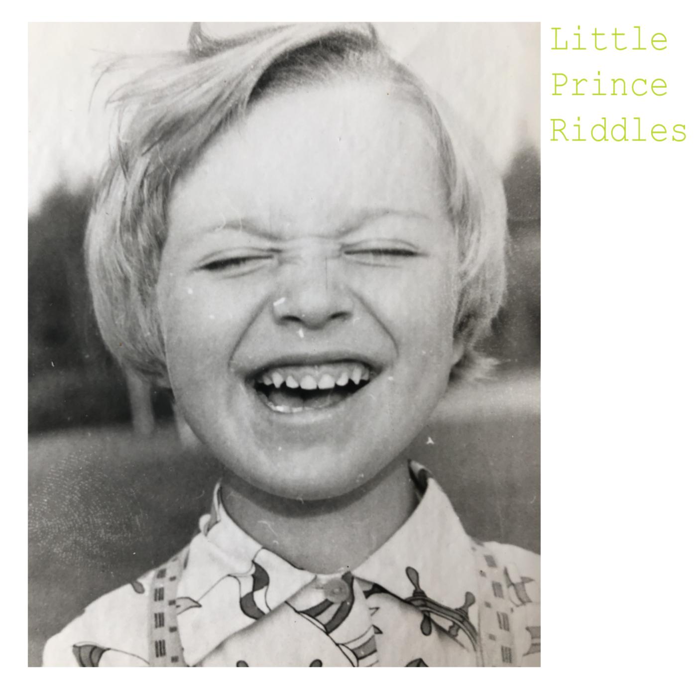 Постер альбома Little Prince Riddles
