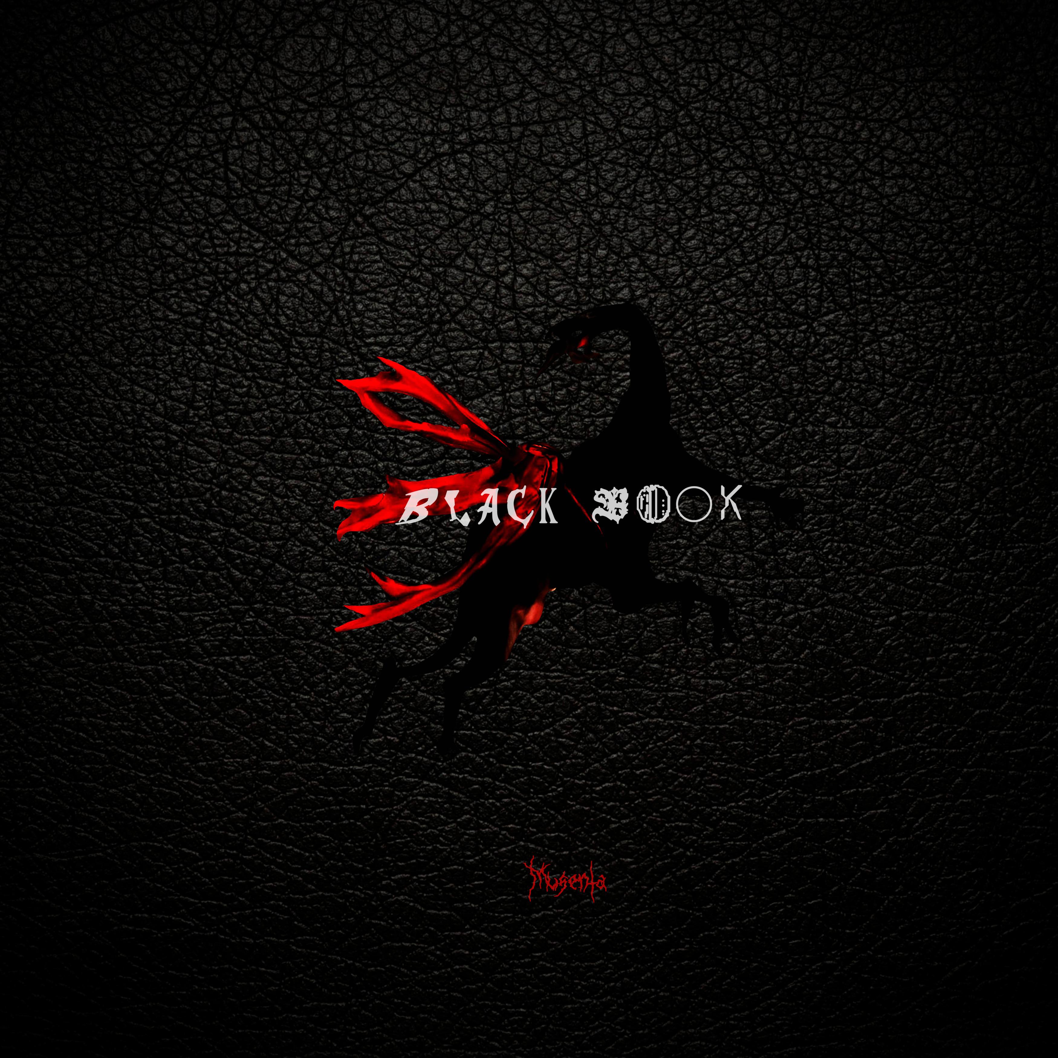 Постер альбома Black Book