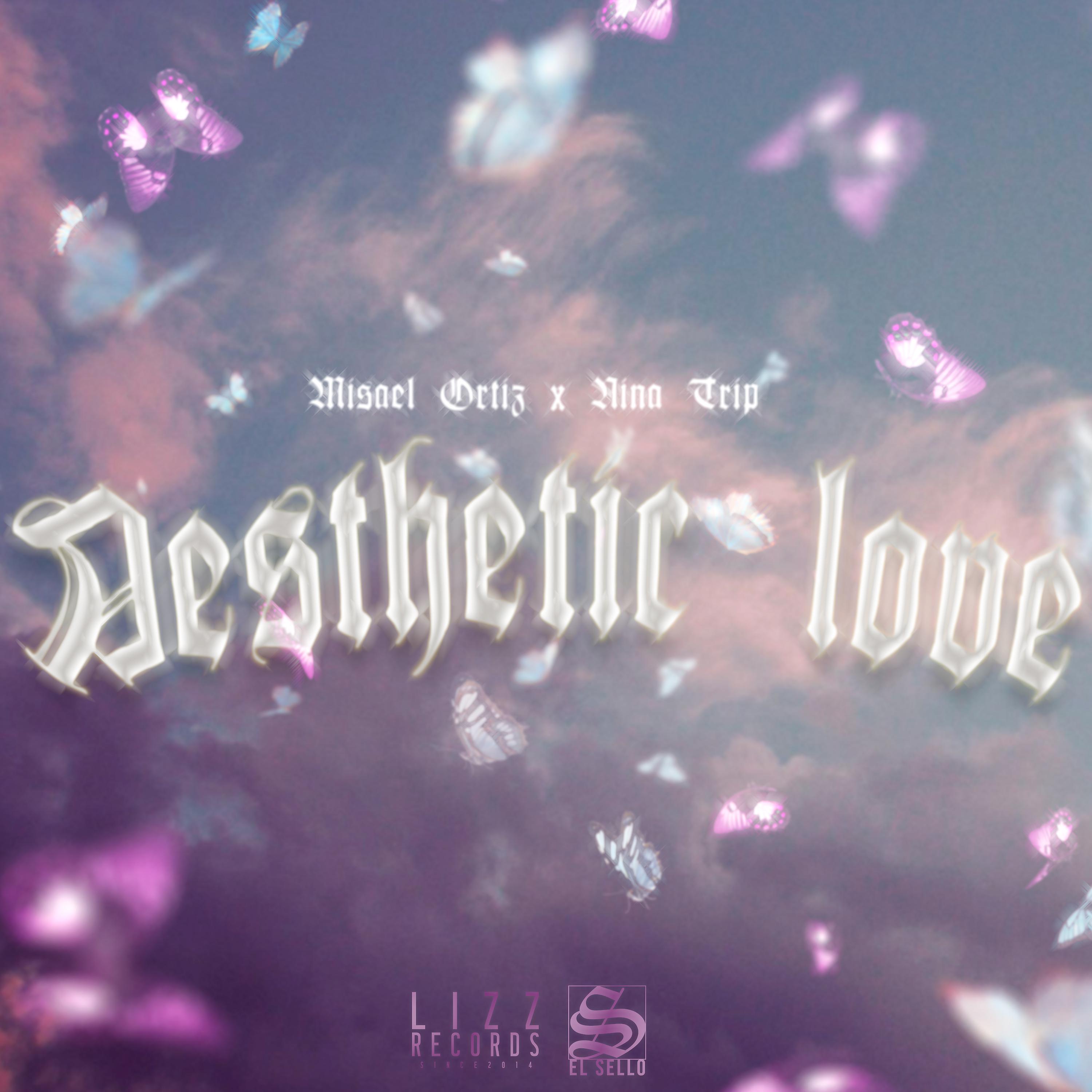 Постер альбома Aesthetic Love