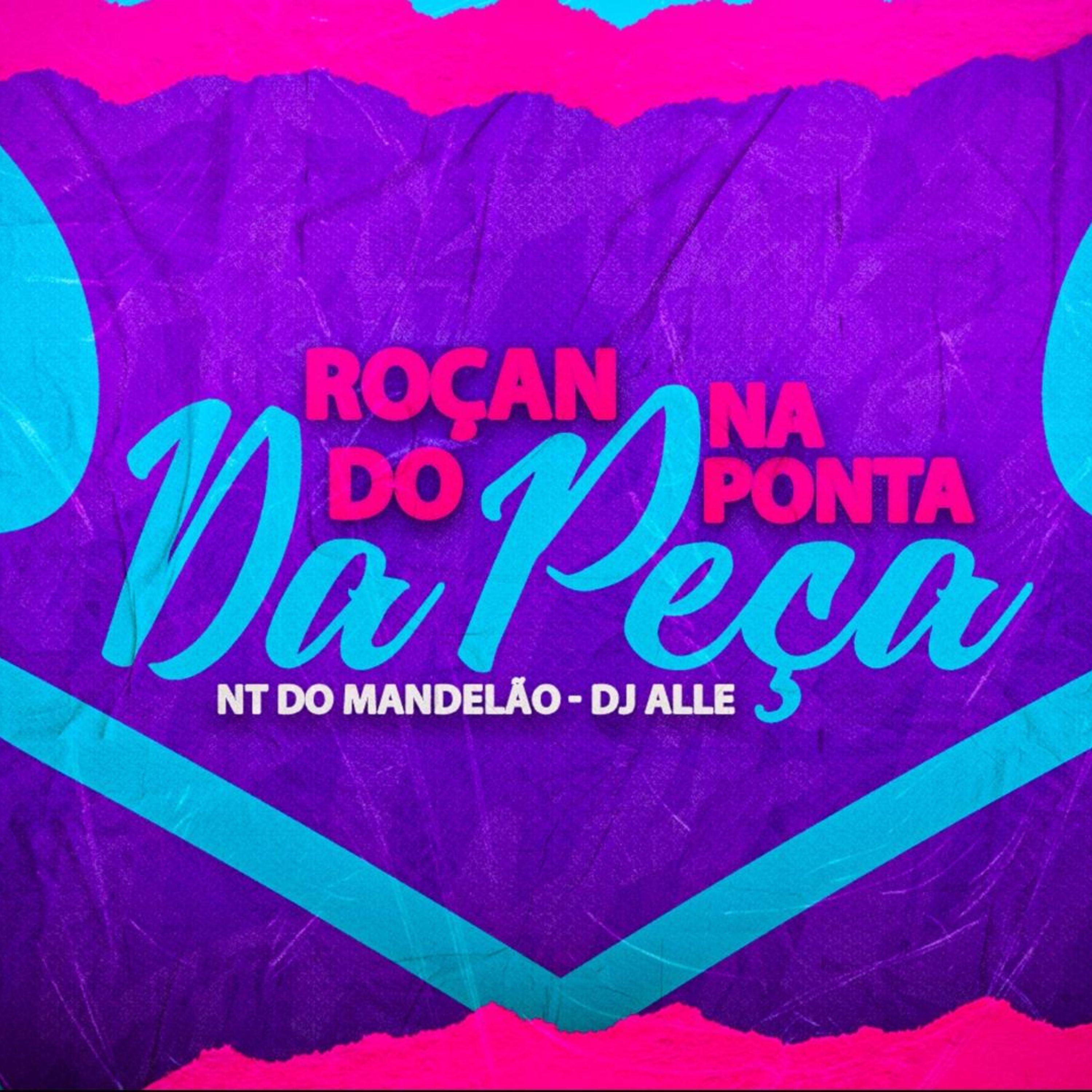 Постер альбома Roçando na Ponta da Peça