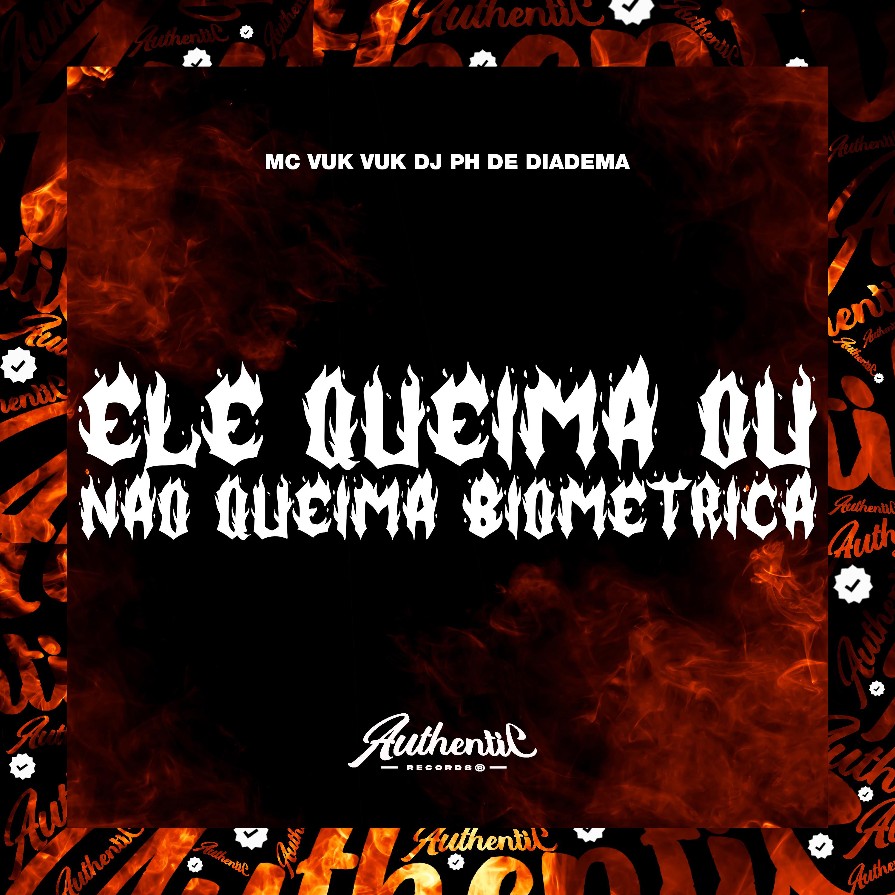 Постер альбома Ele Queima ou Não Queima Biométrica