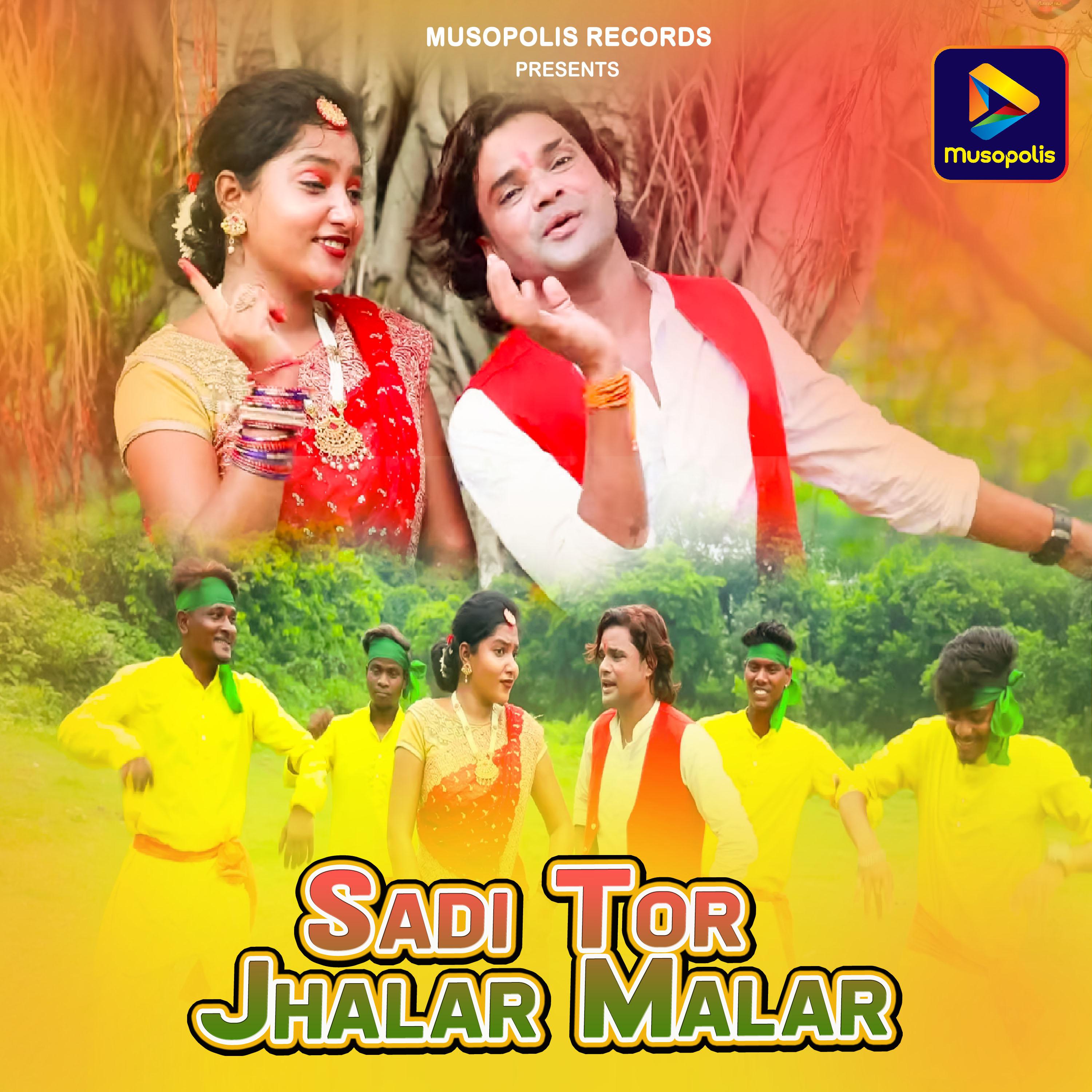 Постер альбома Sadi Tor Jhalar Malar