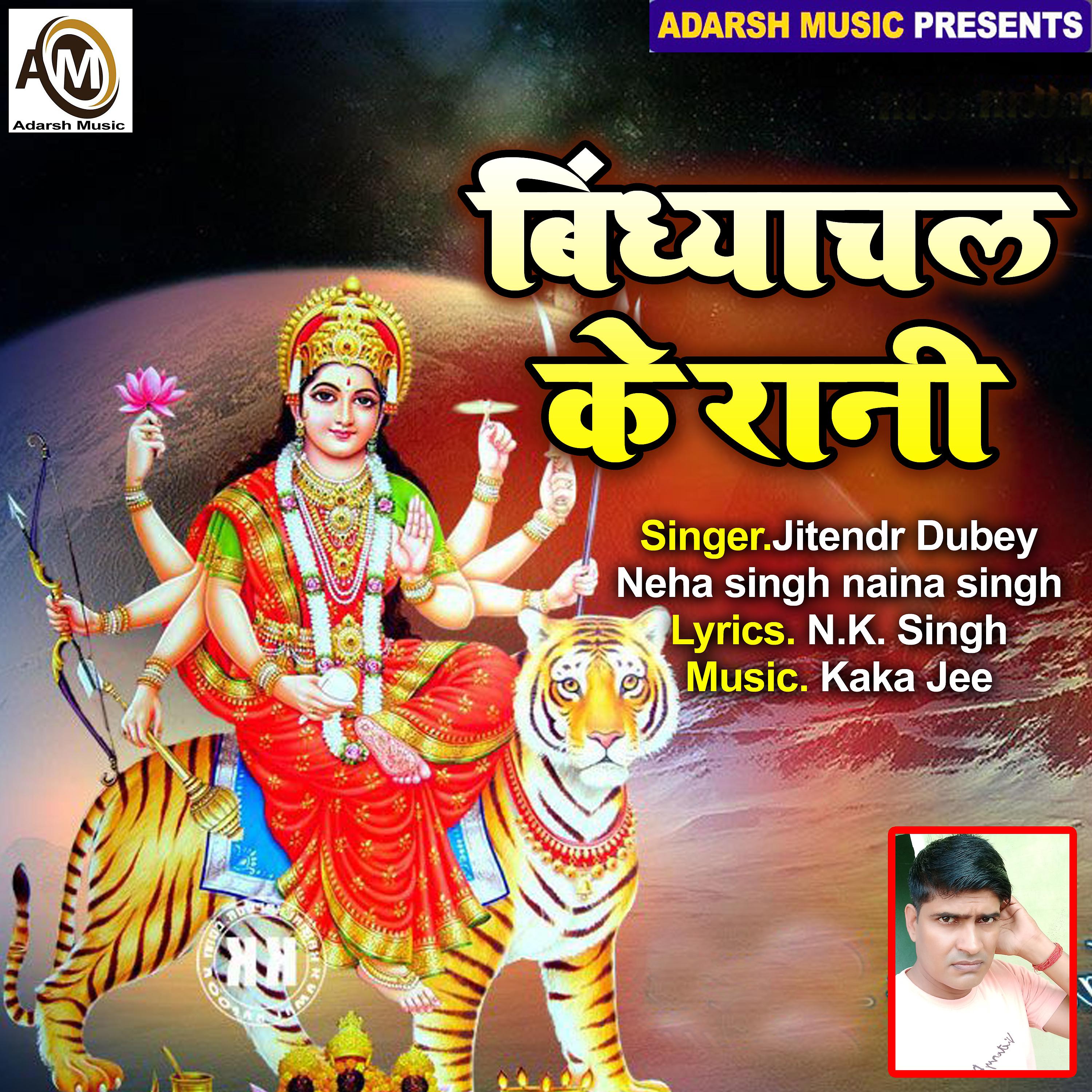Постер альбома Araji Karile Aaj Ham (Bindhyachal Ke Rani)