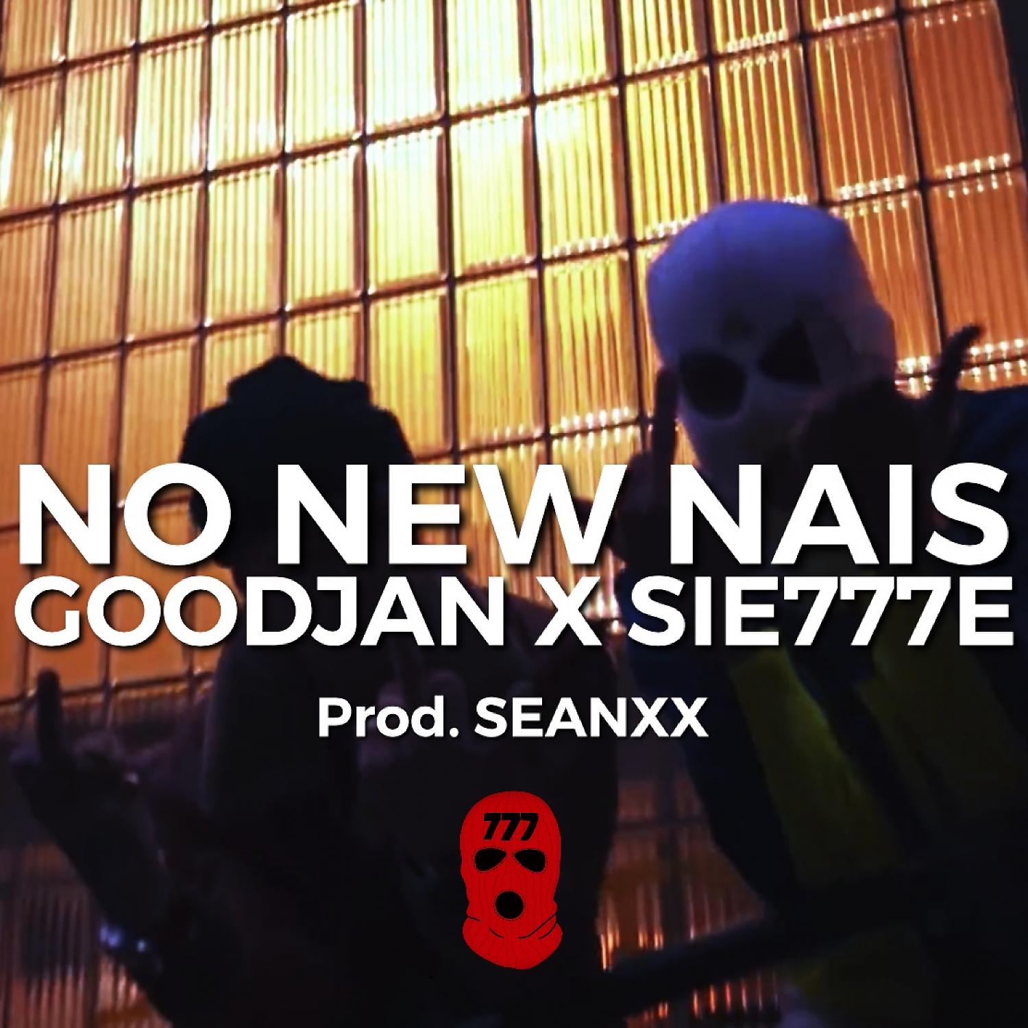 Постер альбома No New Nais