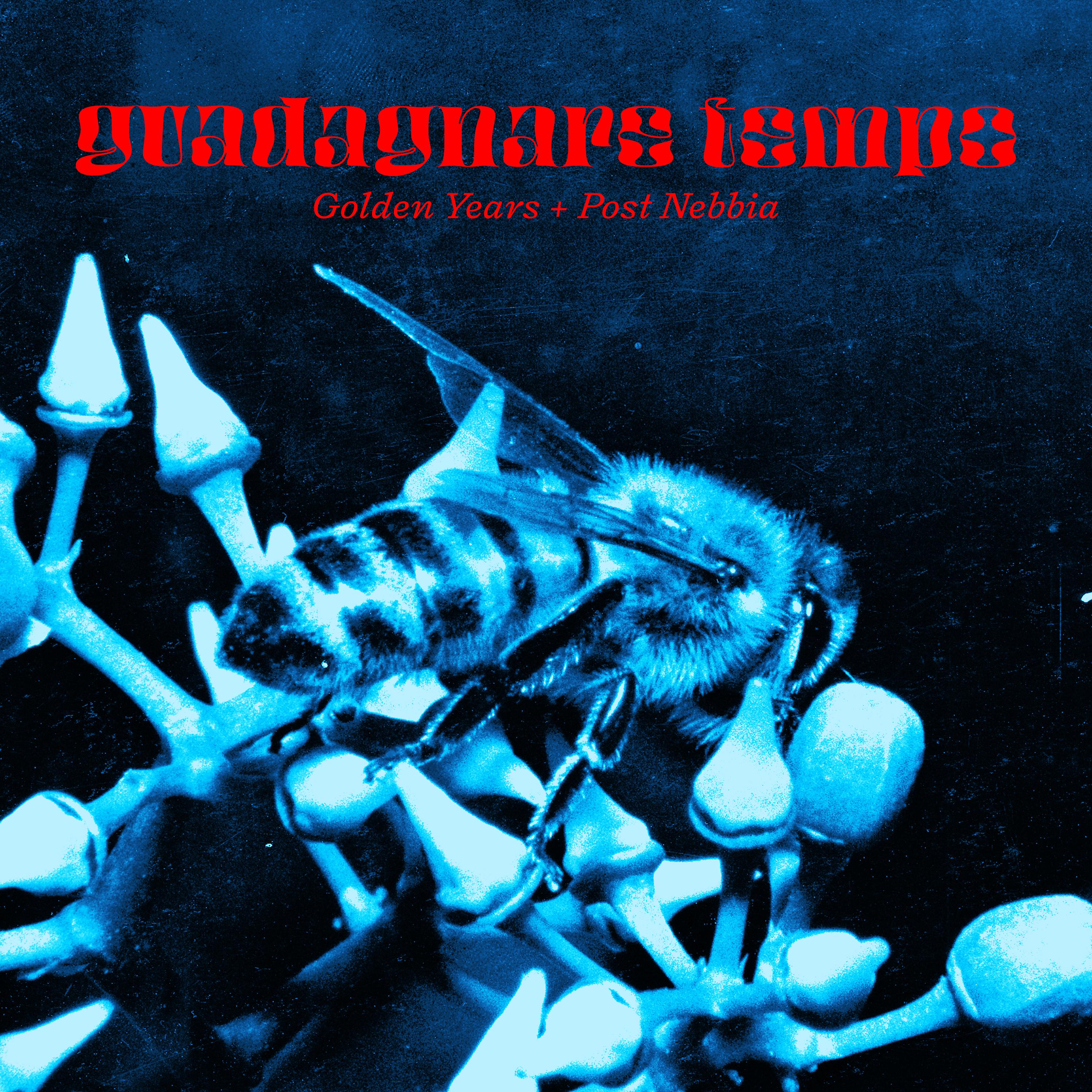 Постер альбома Guadagnare Tempo