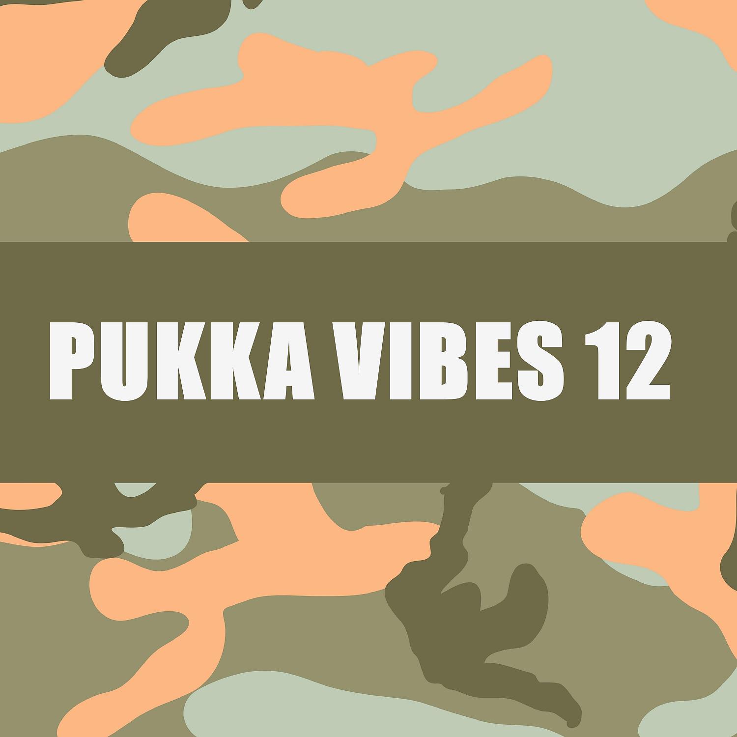 Постер альбома PUKKA VIBES 12