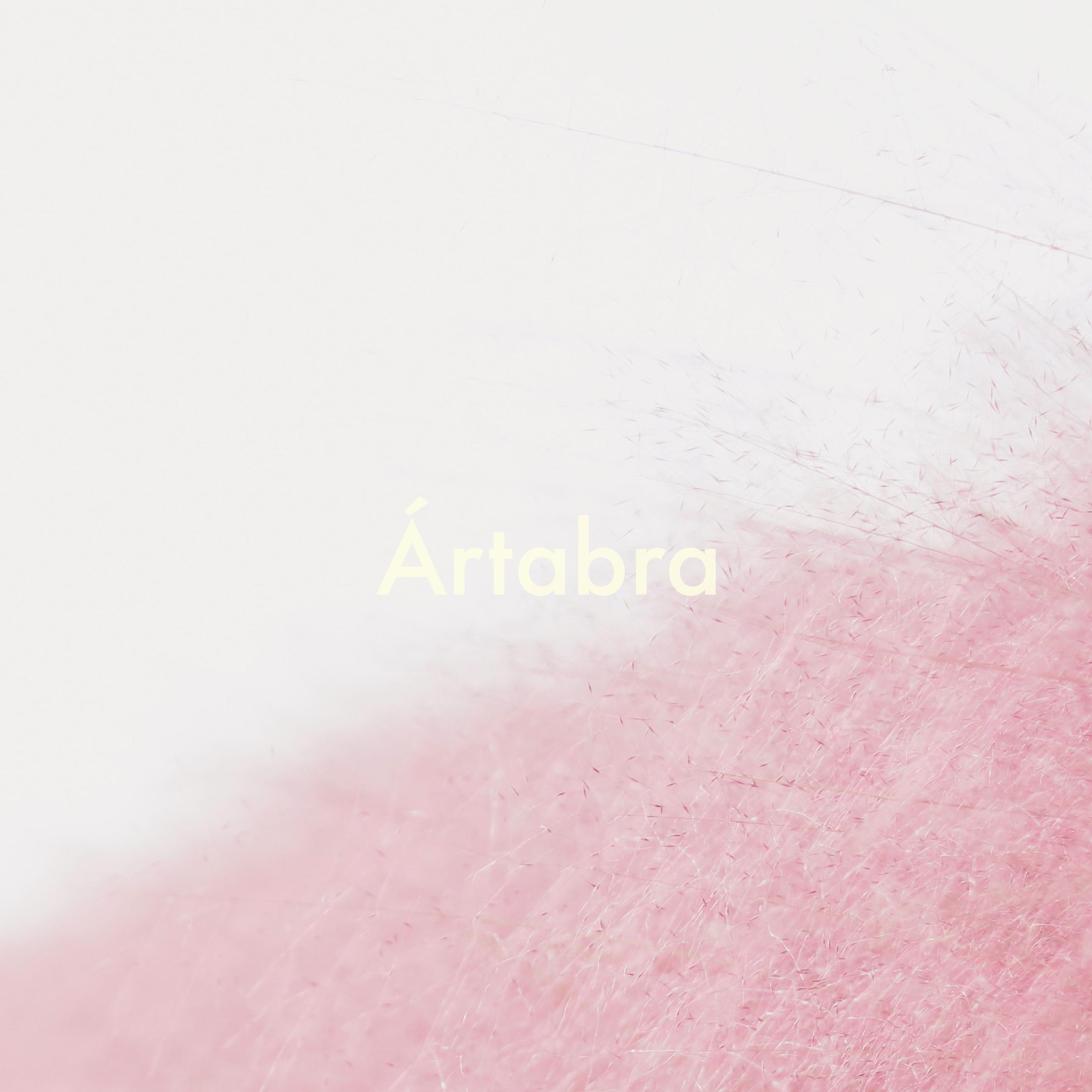 Постер альбома Ártabra