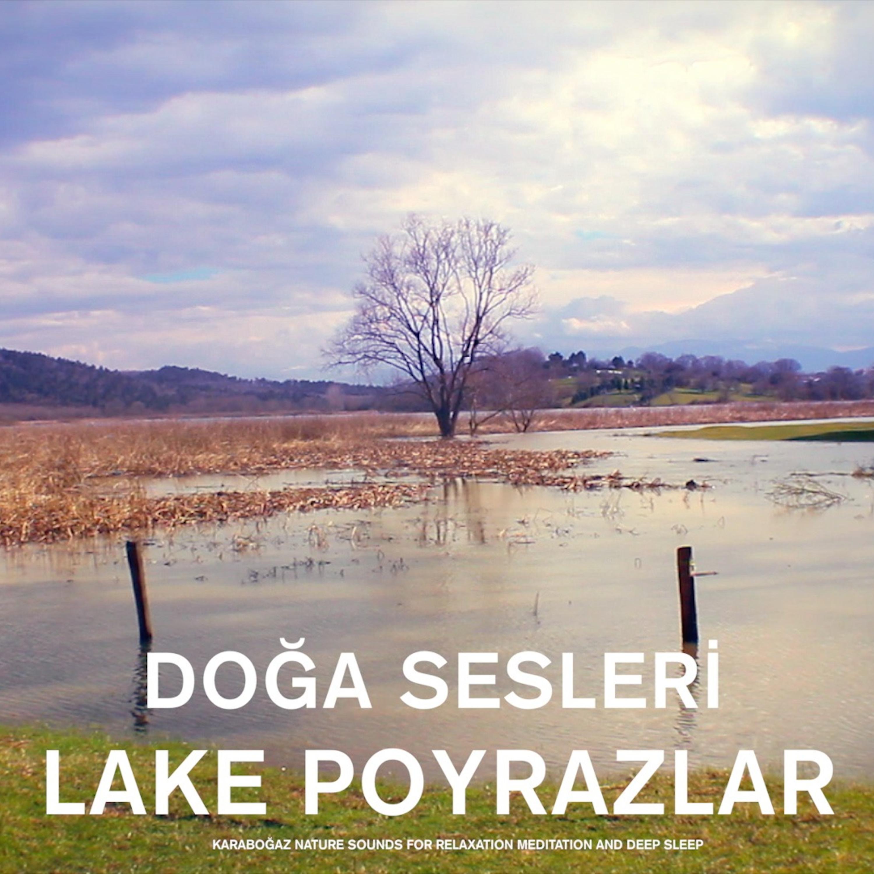 Постер альбома Lake Poyrazlar