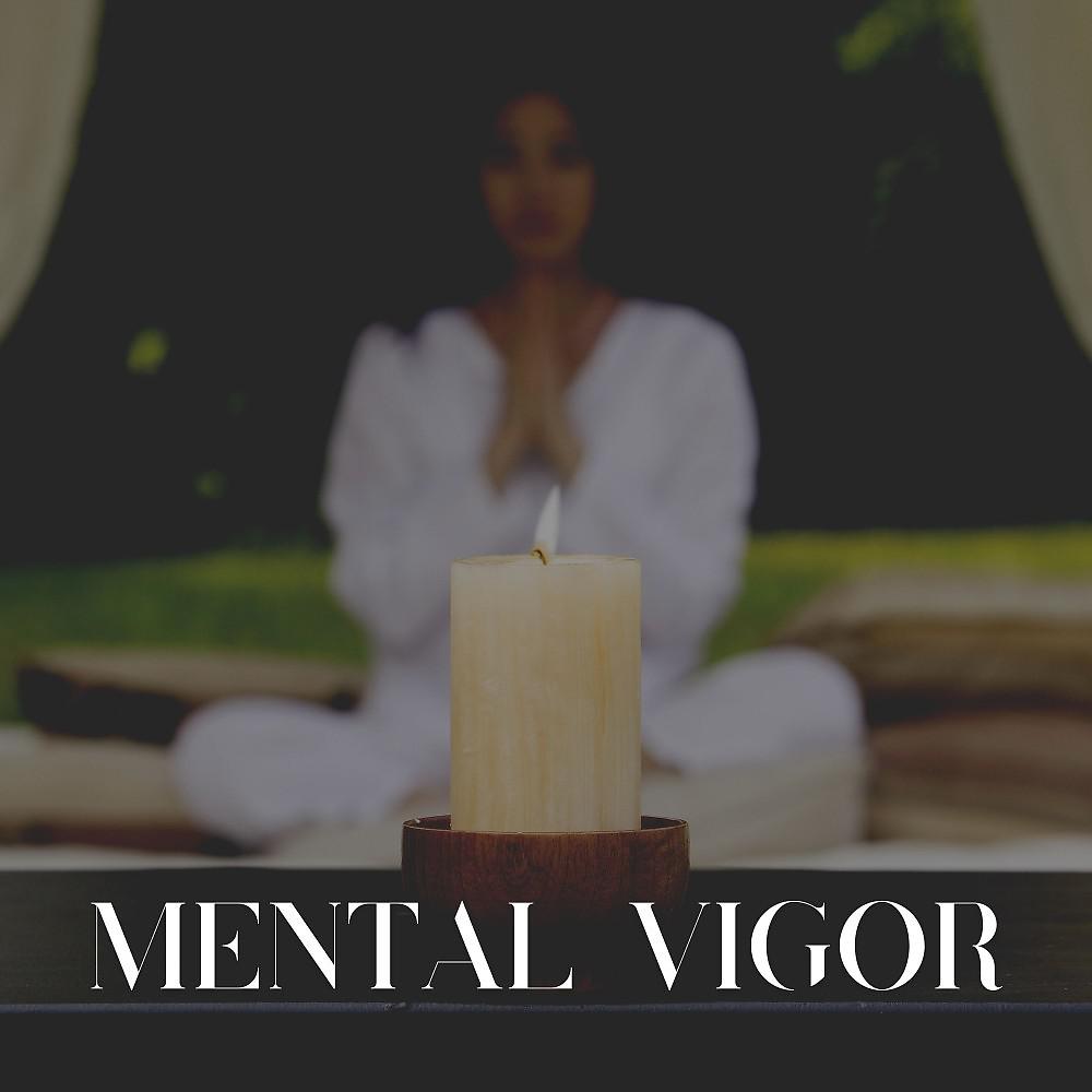Постер альбома Mental Vigor