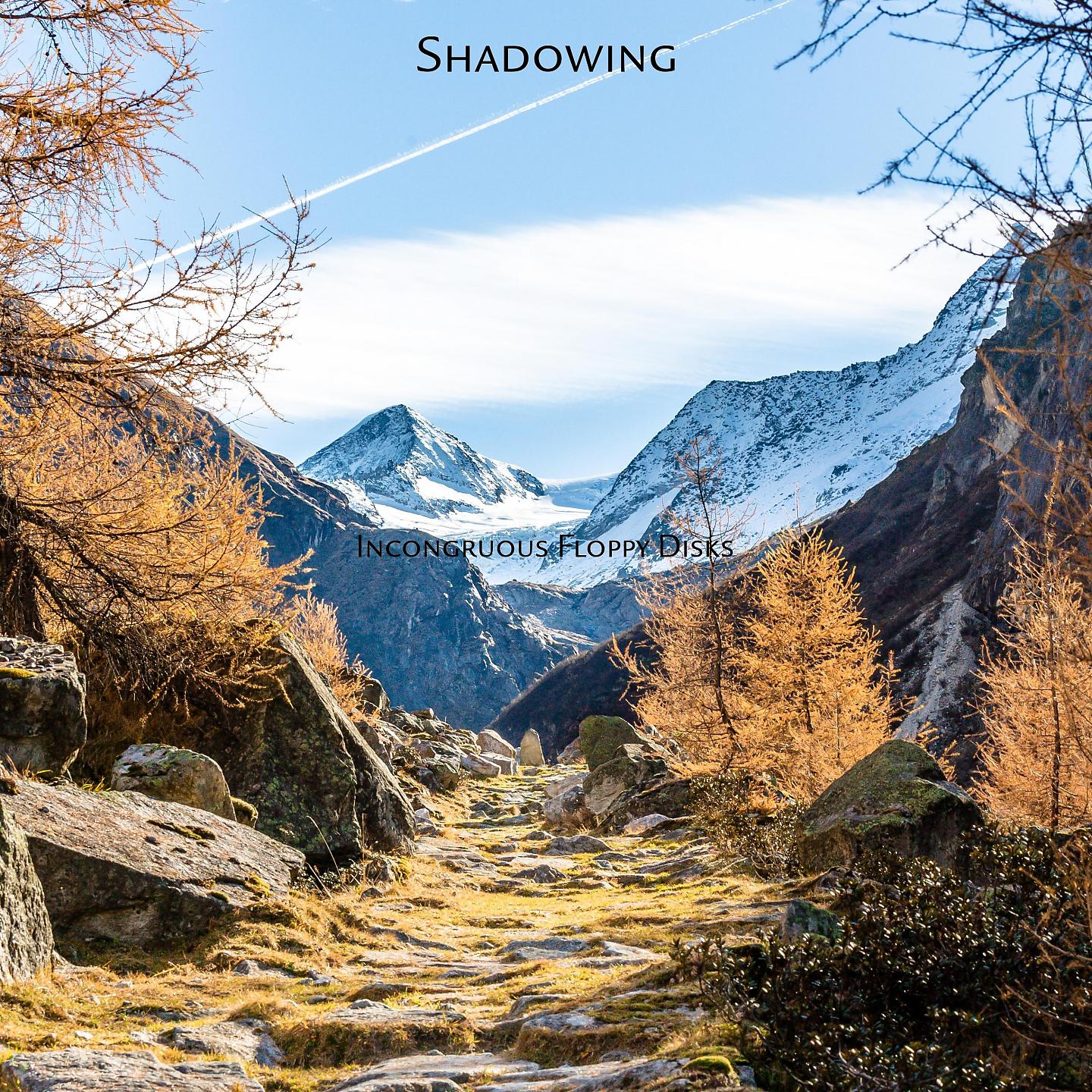Постер альбома Shadowing