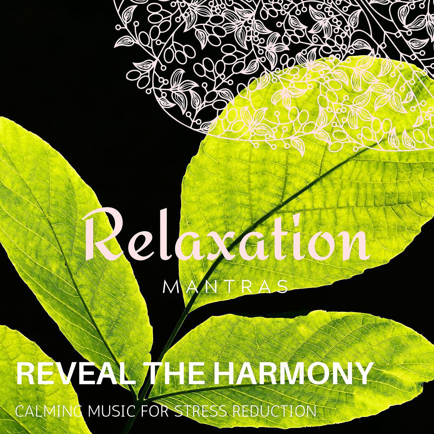 Постер альбома Reveal the Harmony - Calming Music for Stress Reduction