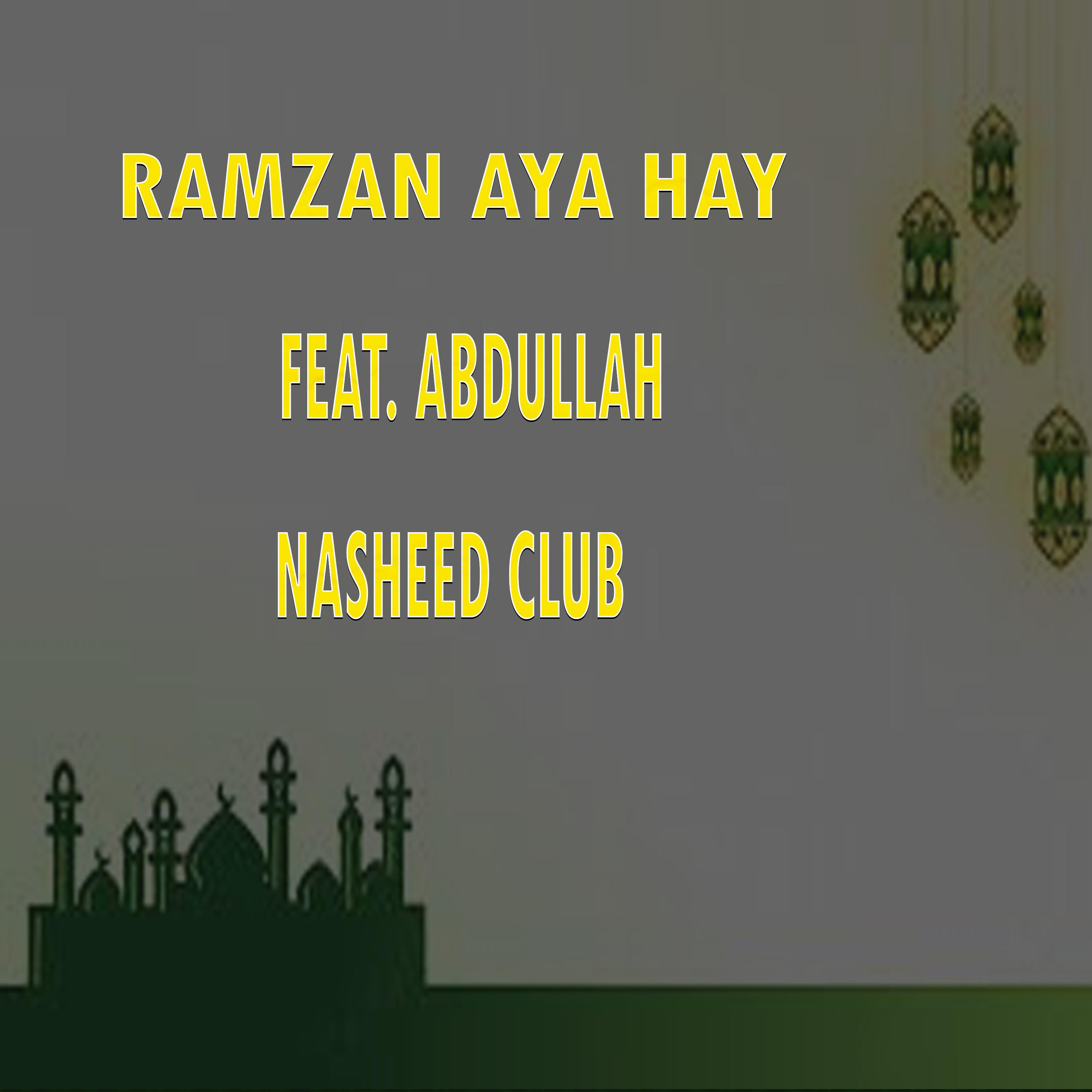 Постер альбома Ramzan Aya Hay