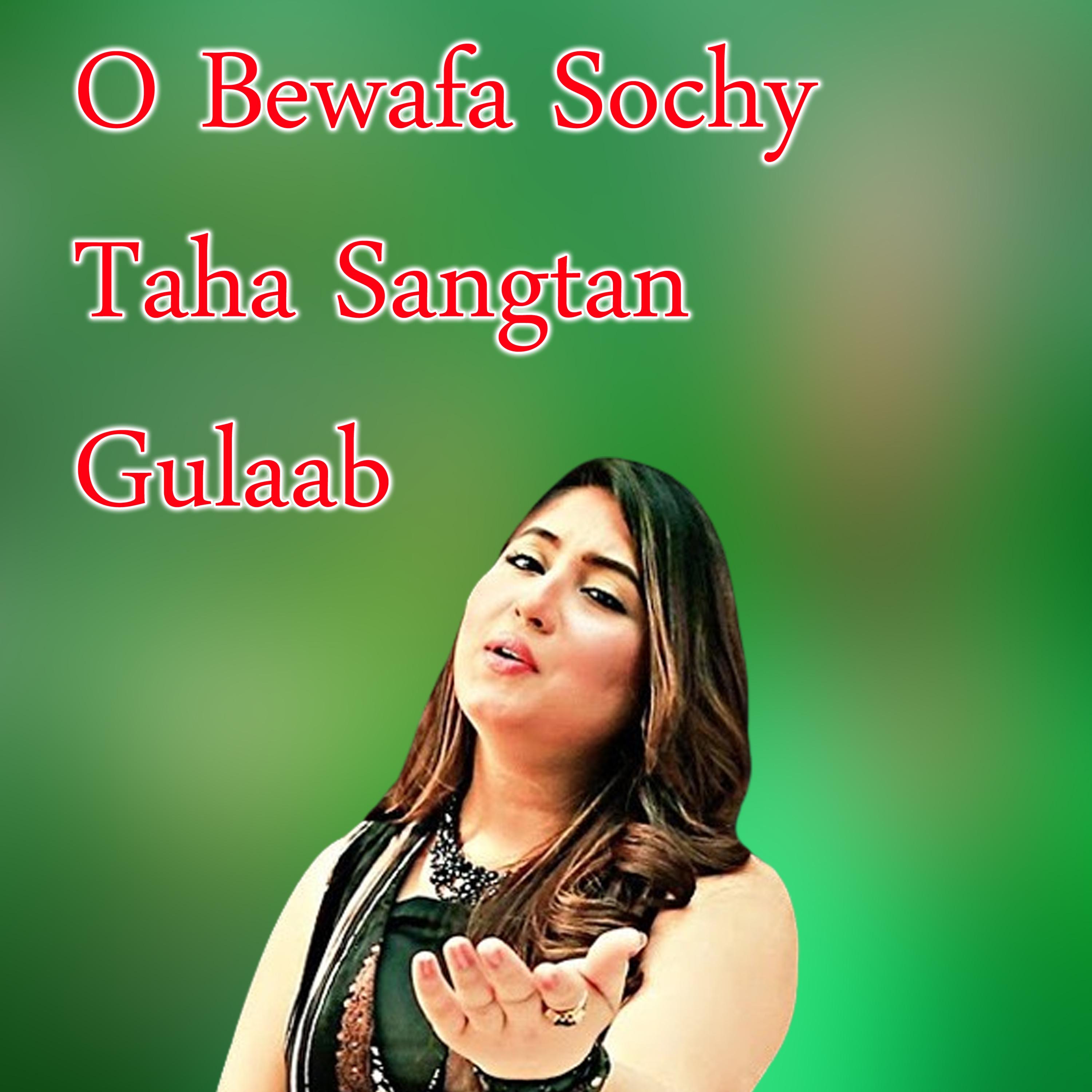 Постер альбома O Bewafa Sochy Taha Sangtan