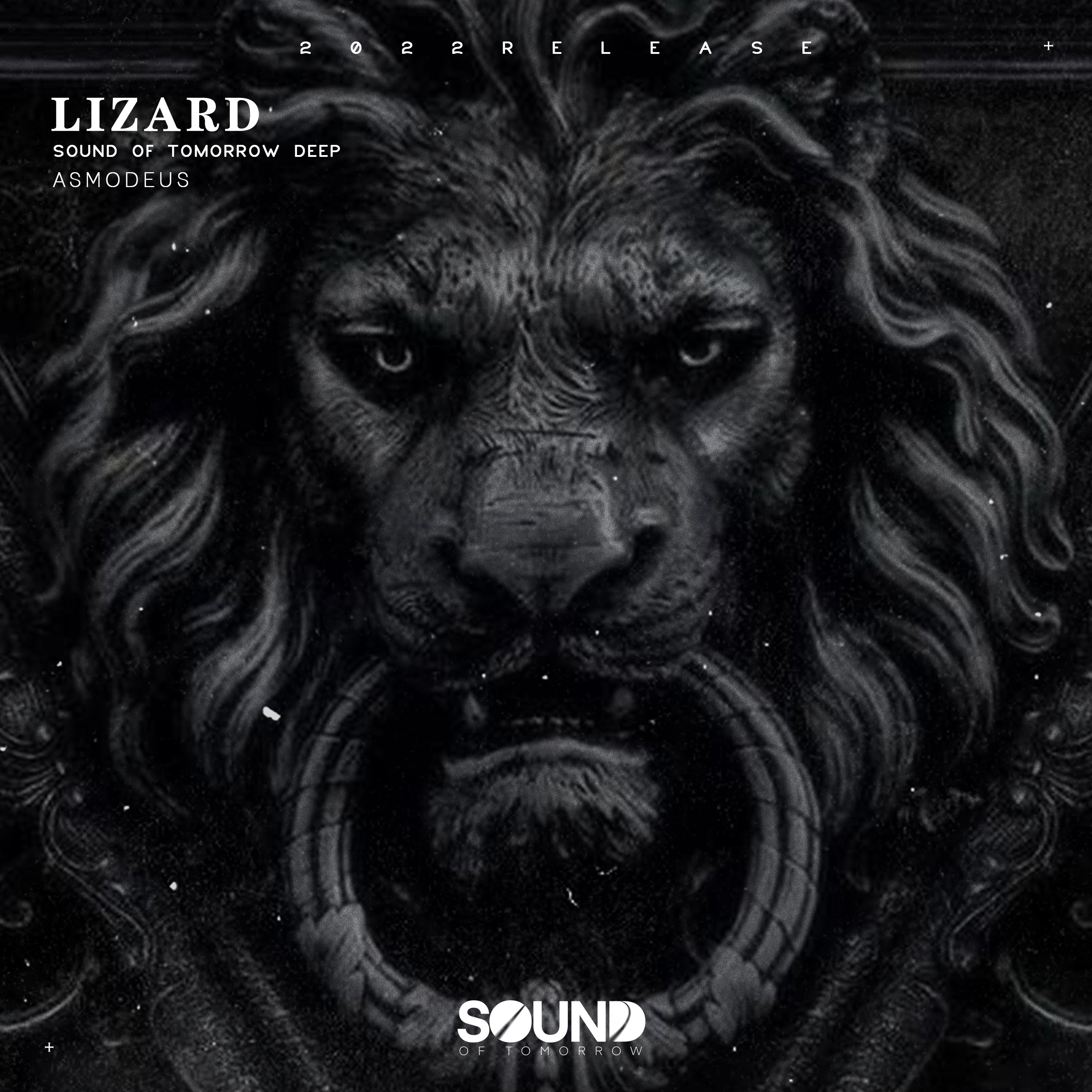 Постер альбома Lizard