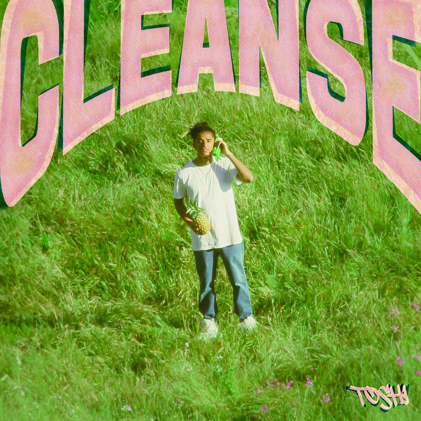 Постер альбома Cleanse
