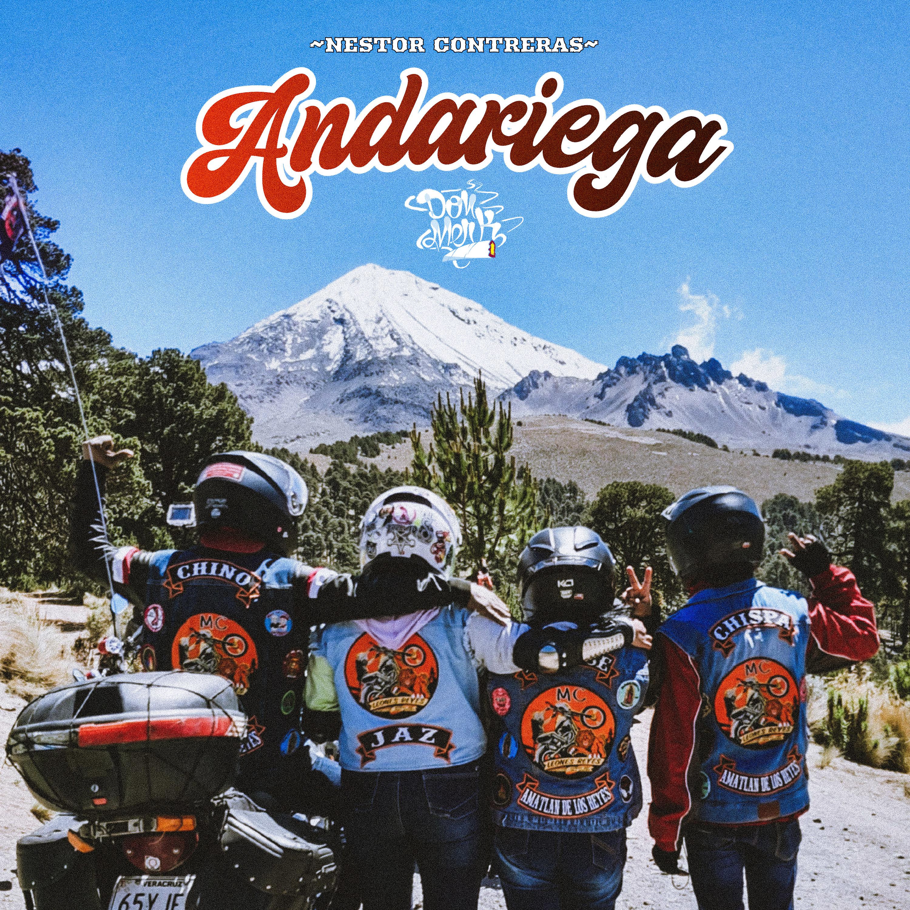 Постер альбома Andariega