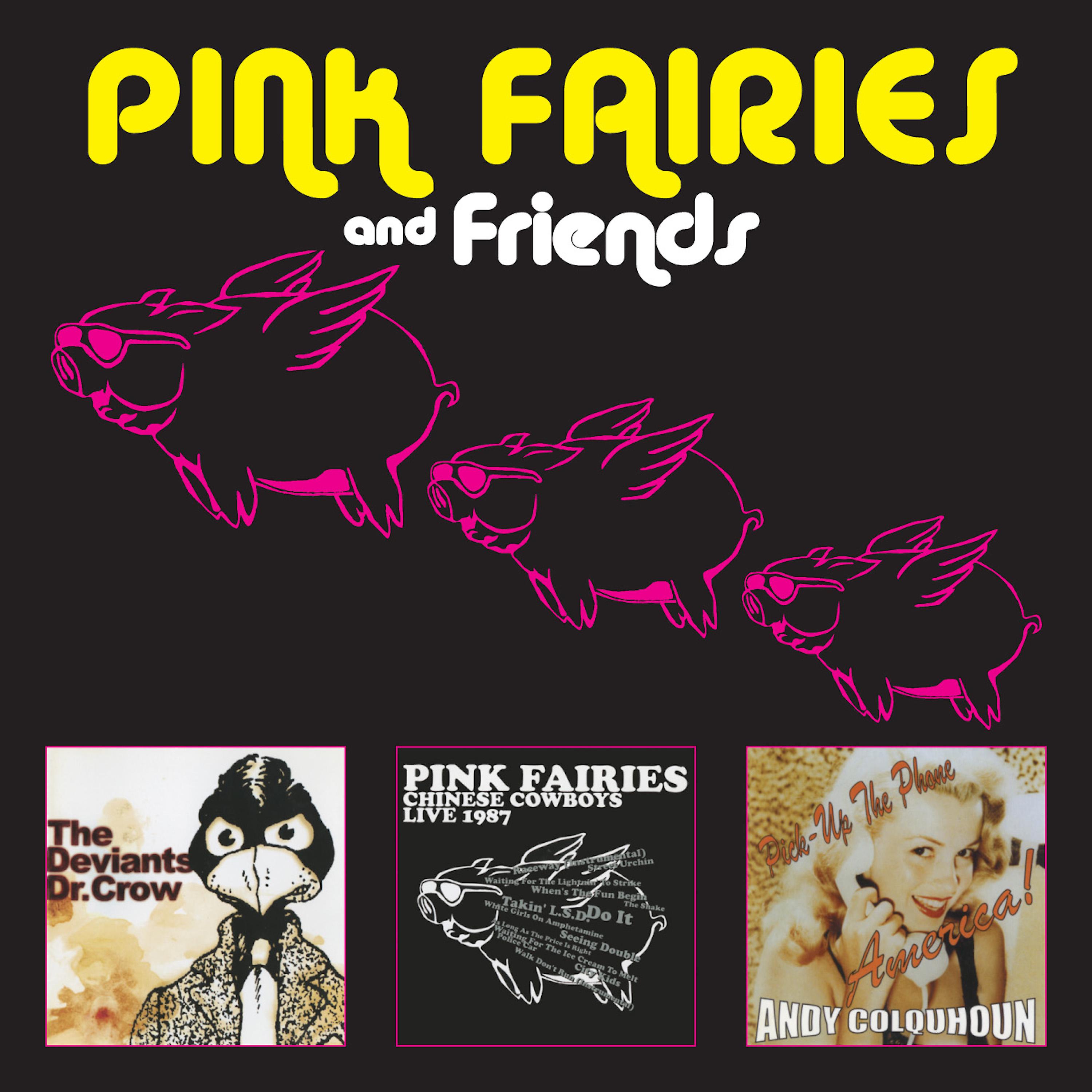 Постер альбома Pink Fairies and Friends