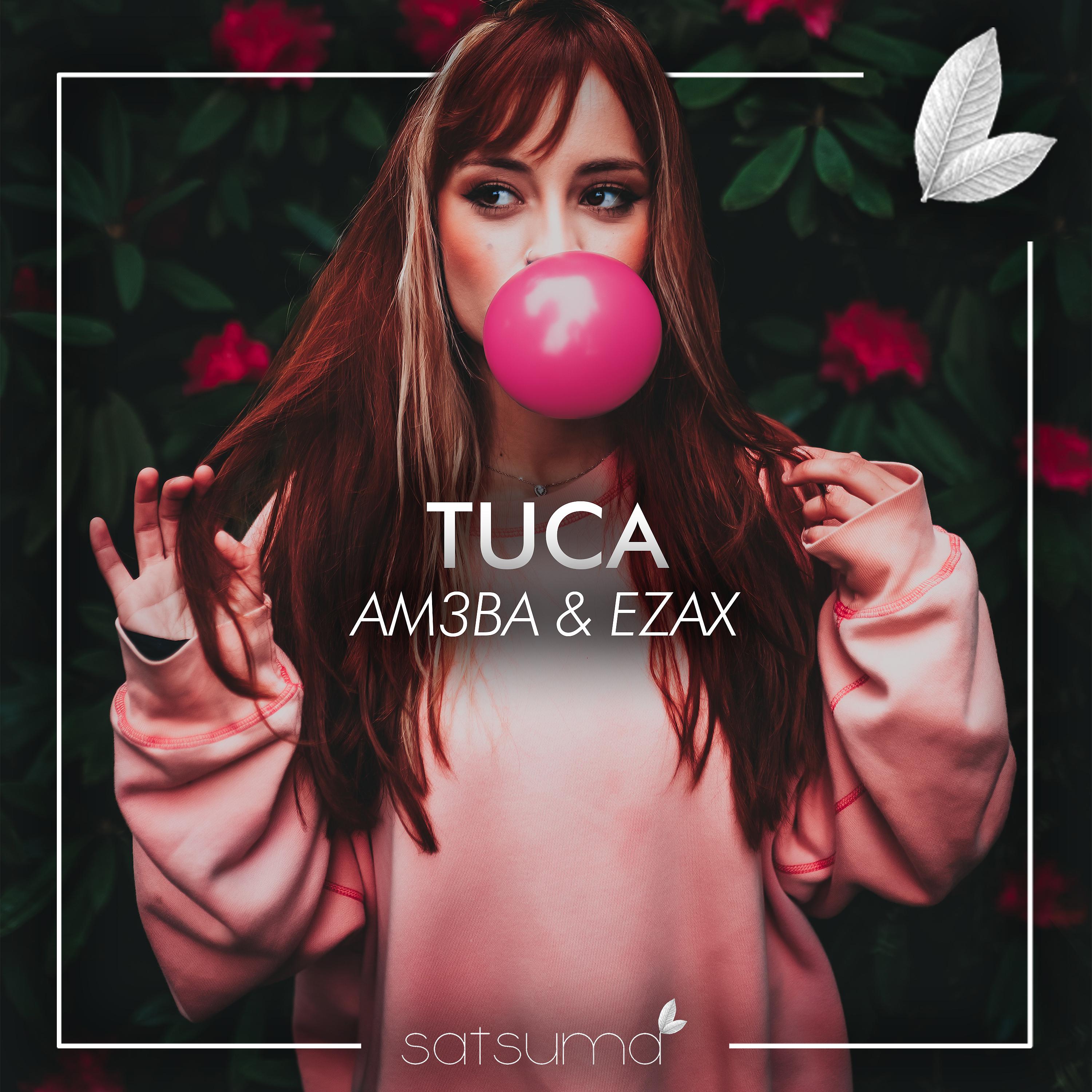 Постер альбома Tuca
