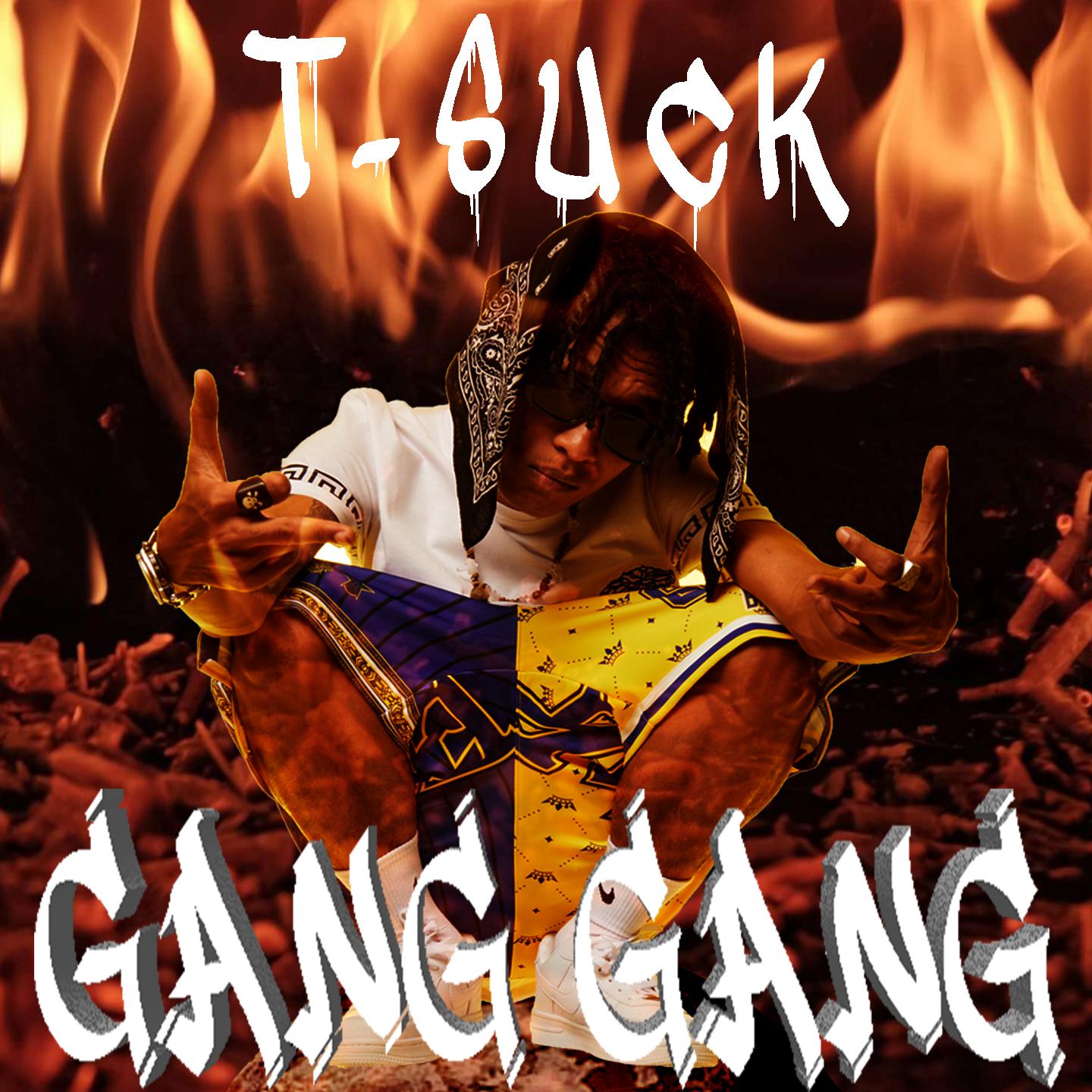 Постер альбома GANG GANG