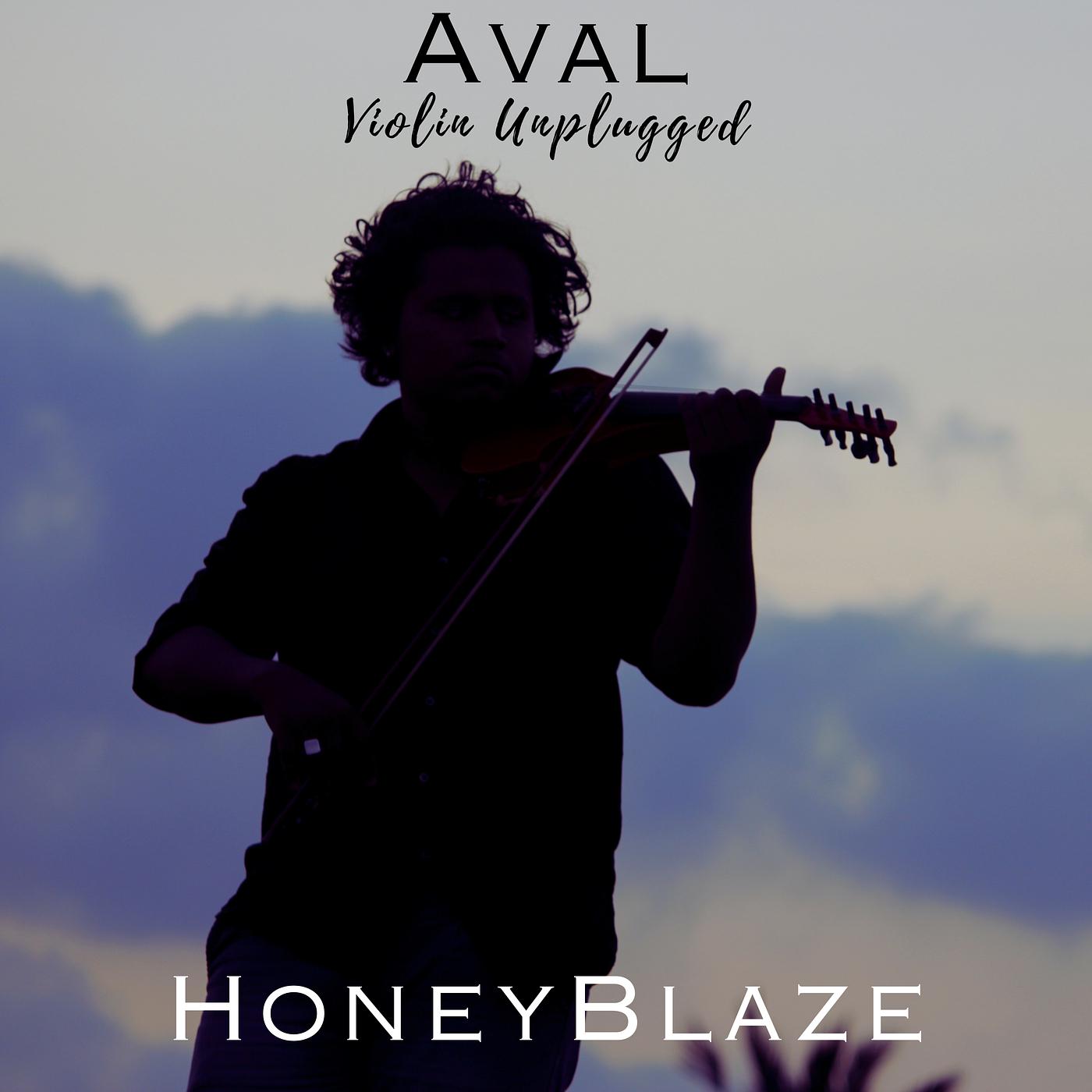 Постер альбома Aval Violin Unplugged
